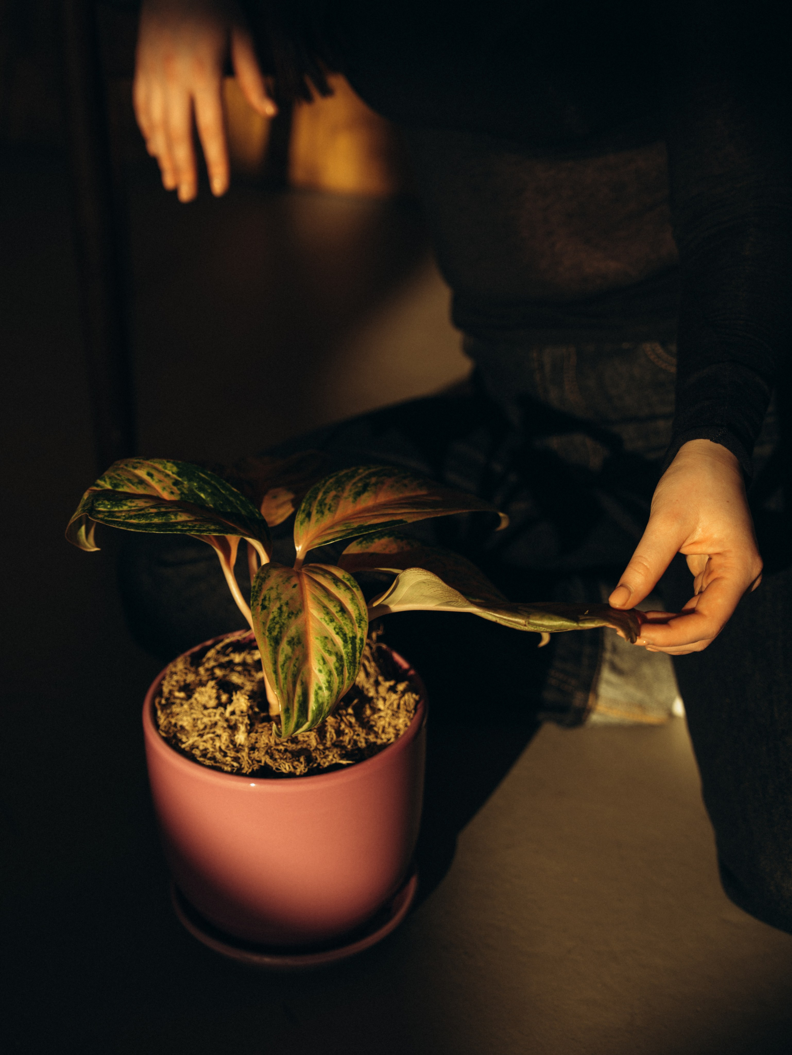 Контент. Фотограф на Камчатке Воронина Ульяна