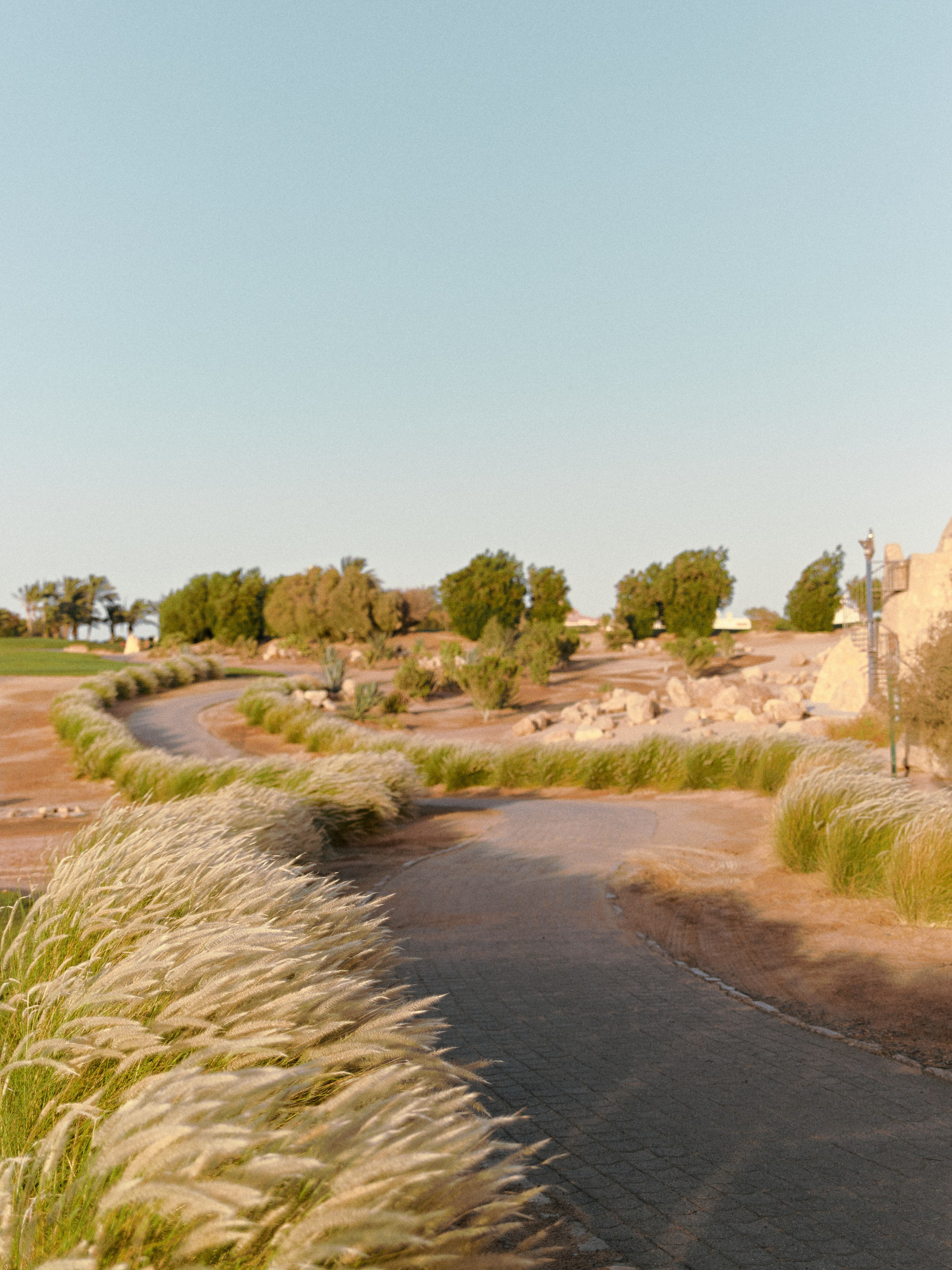 Улицы. Jorgis Talè — photographer, kind person, teacher of arts and other mag