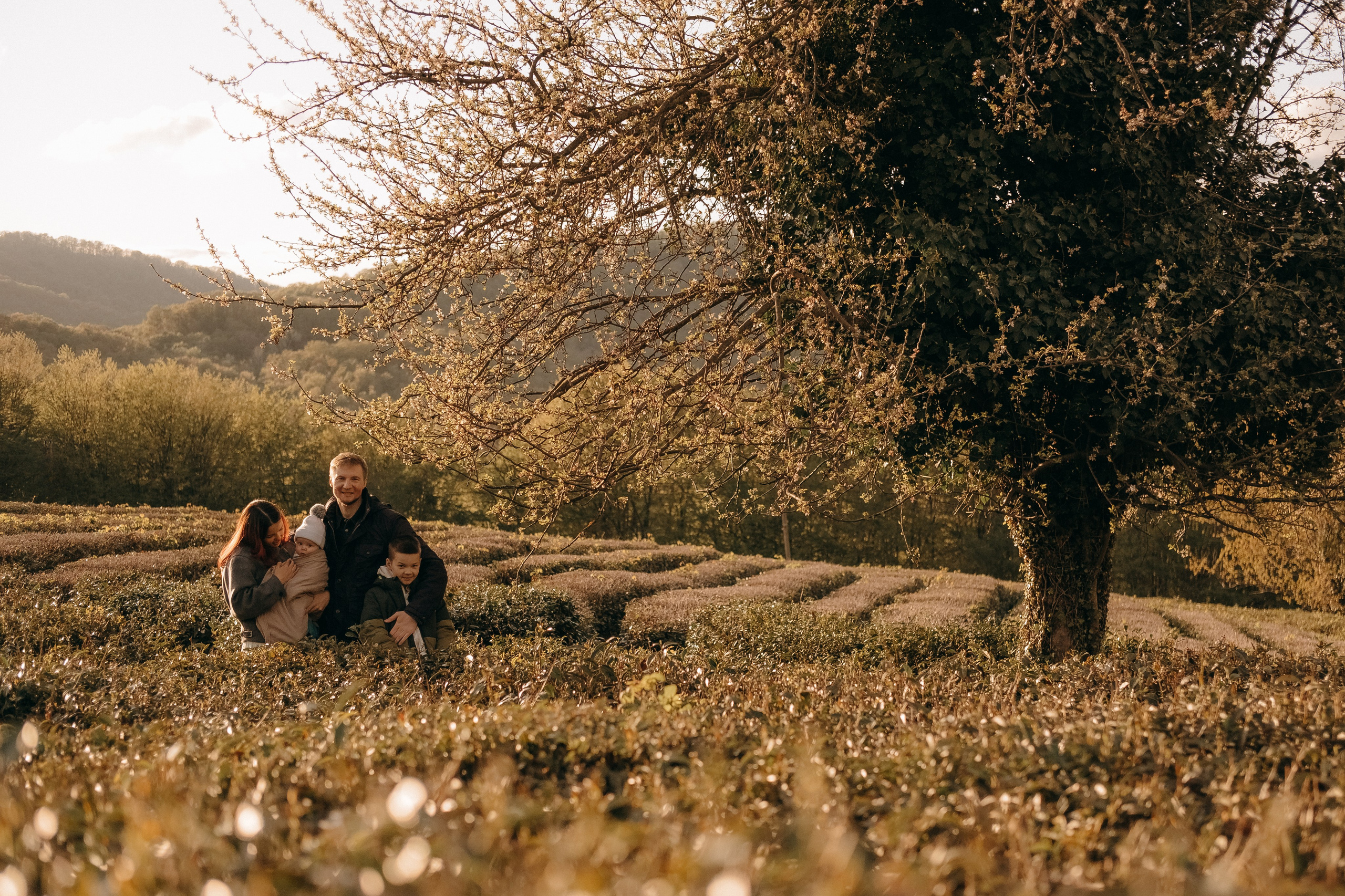 Семейные фотосессии в Сочи, Сириус и на Красной поляне. Семейный, свадебный фотограф Сочи, Адлер, Красная поляна