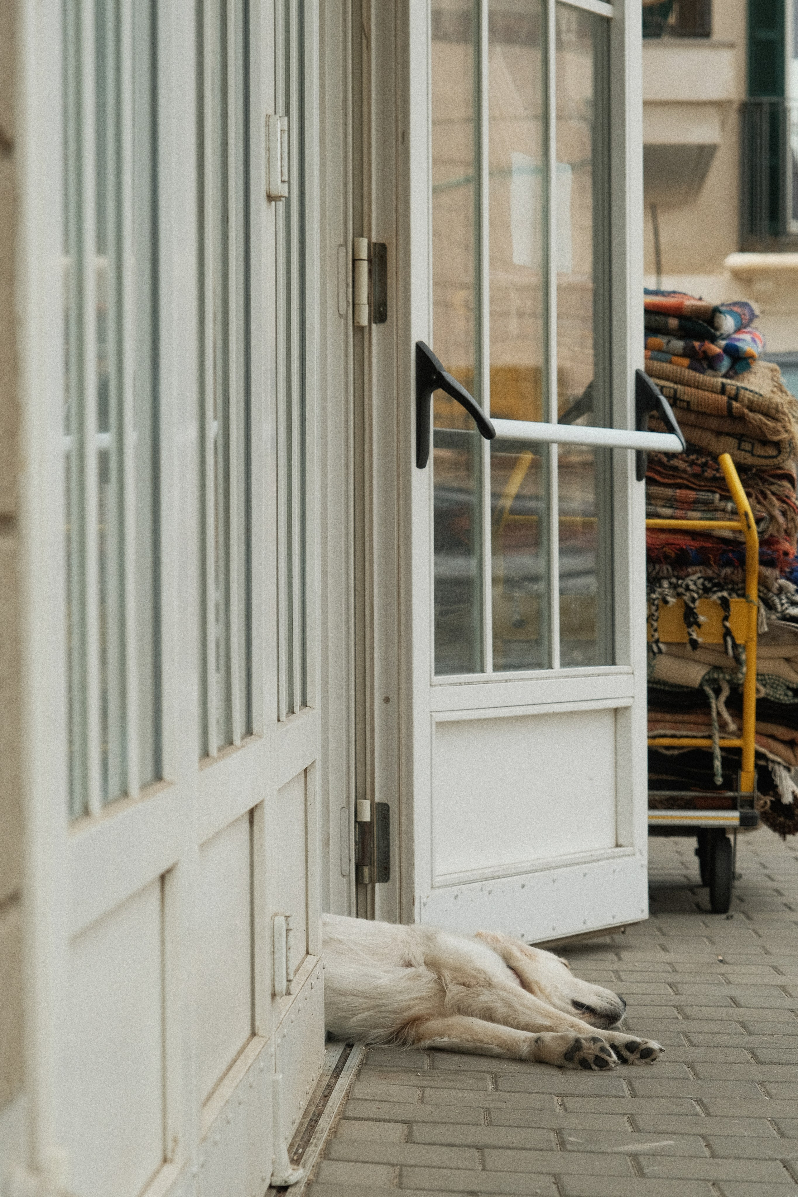 Стрит-фотография в Санкт-Петербурге — фотосессия | Филипп Линзин. Репортажный и портретный фотограф в Санкт-Петербурге Филипп Линзин