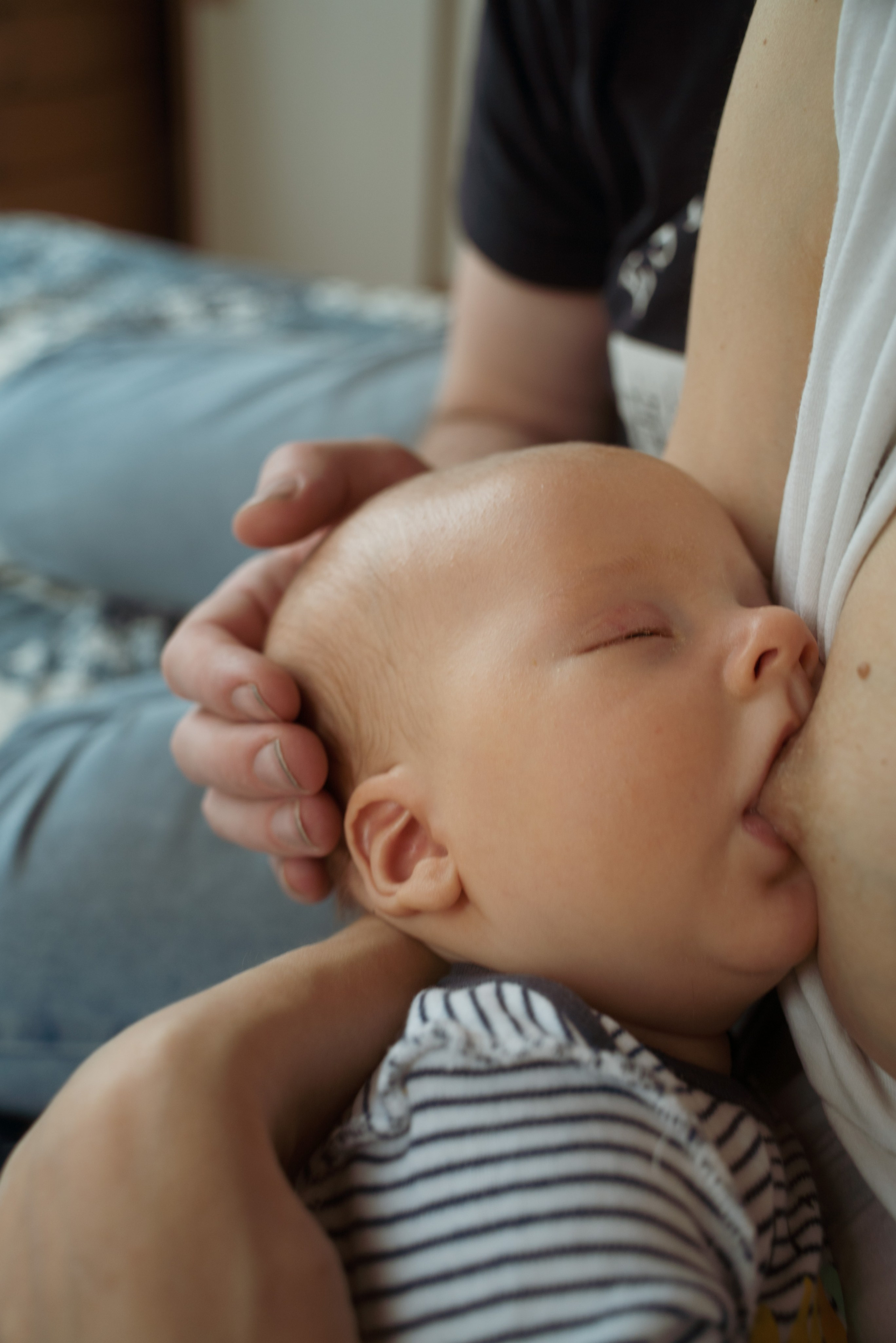 Домашняя фотосессия с двумя детьми. Видеограф Осинина Татьяна — видеосъемка в Москве