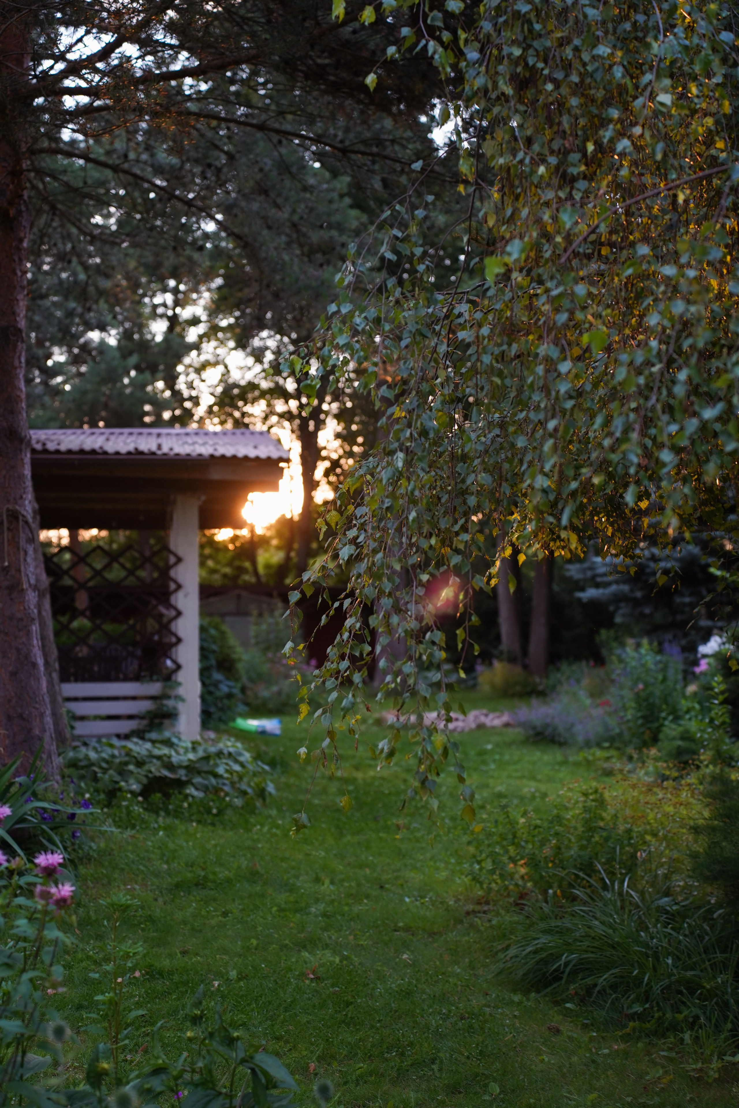 Ретрит в Звенигороде. Портретный фотограф в Москве Анастасия Шагирова