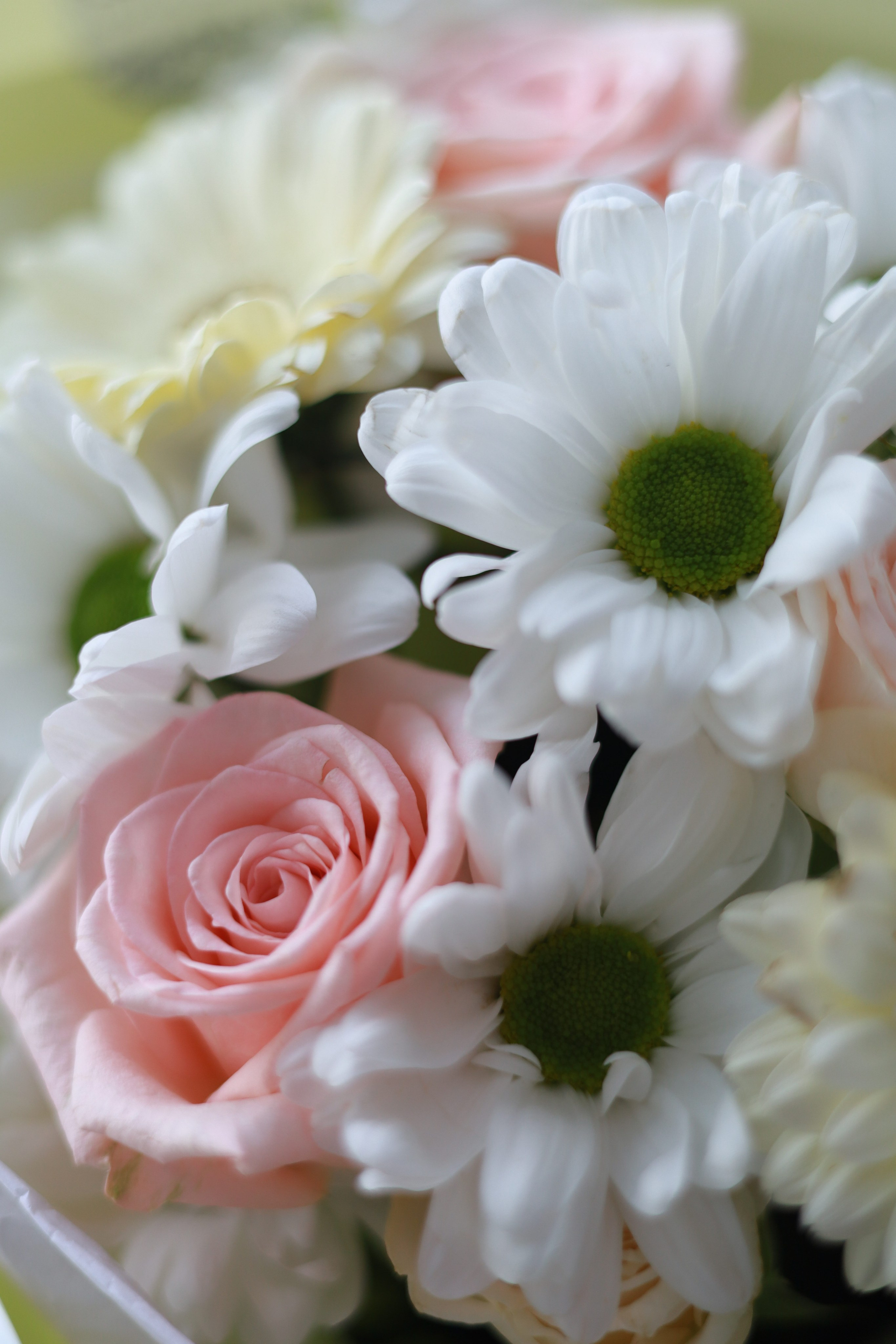 Все, что вокруг меня. Фотограф Евгения Ошкина, Саранск