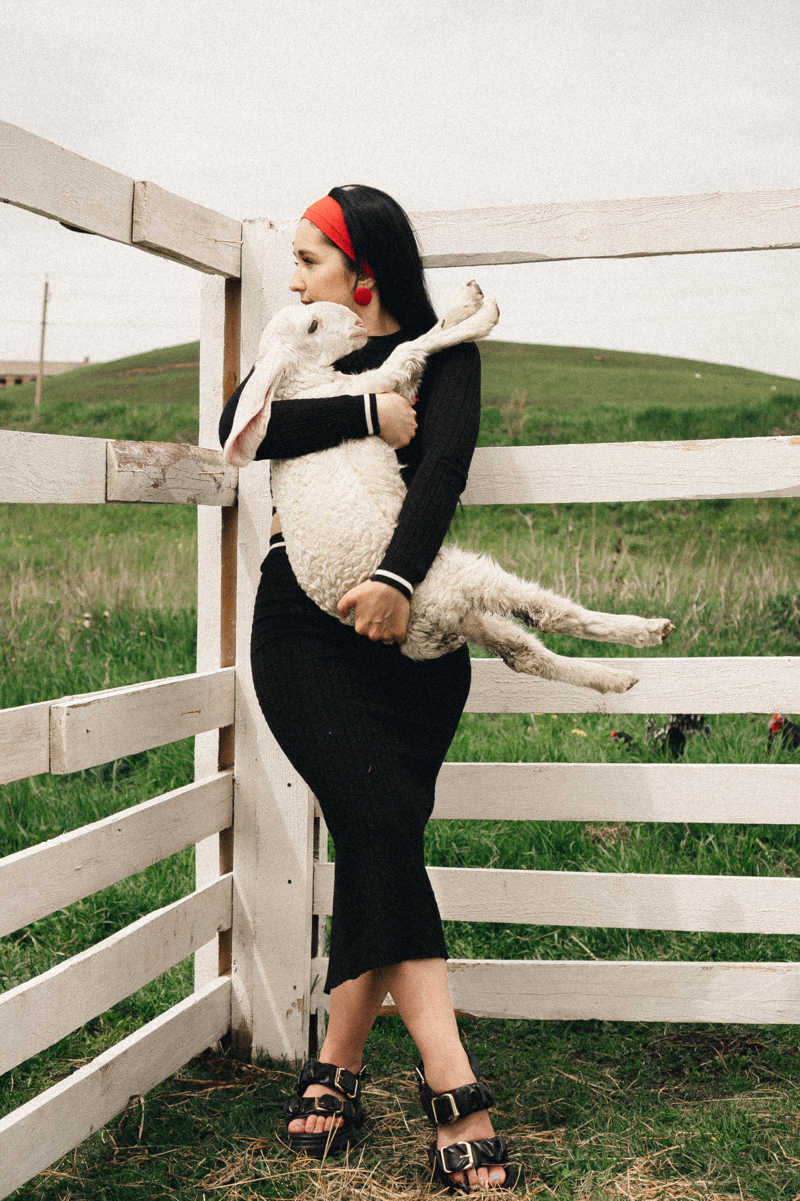 Ферма Альпак. Профессиональный фотограф, Санкт-Петербург — Виктория Богомолова