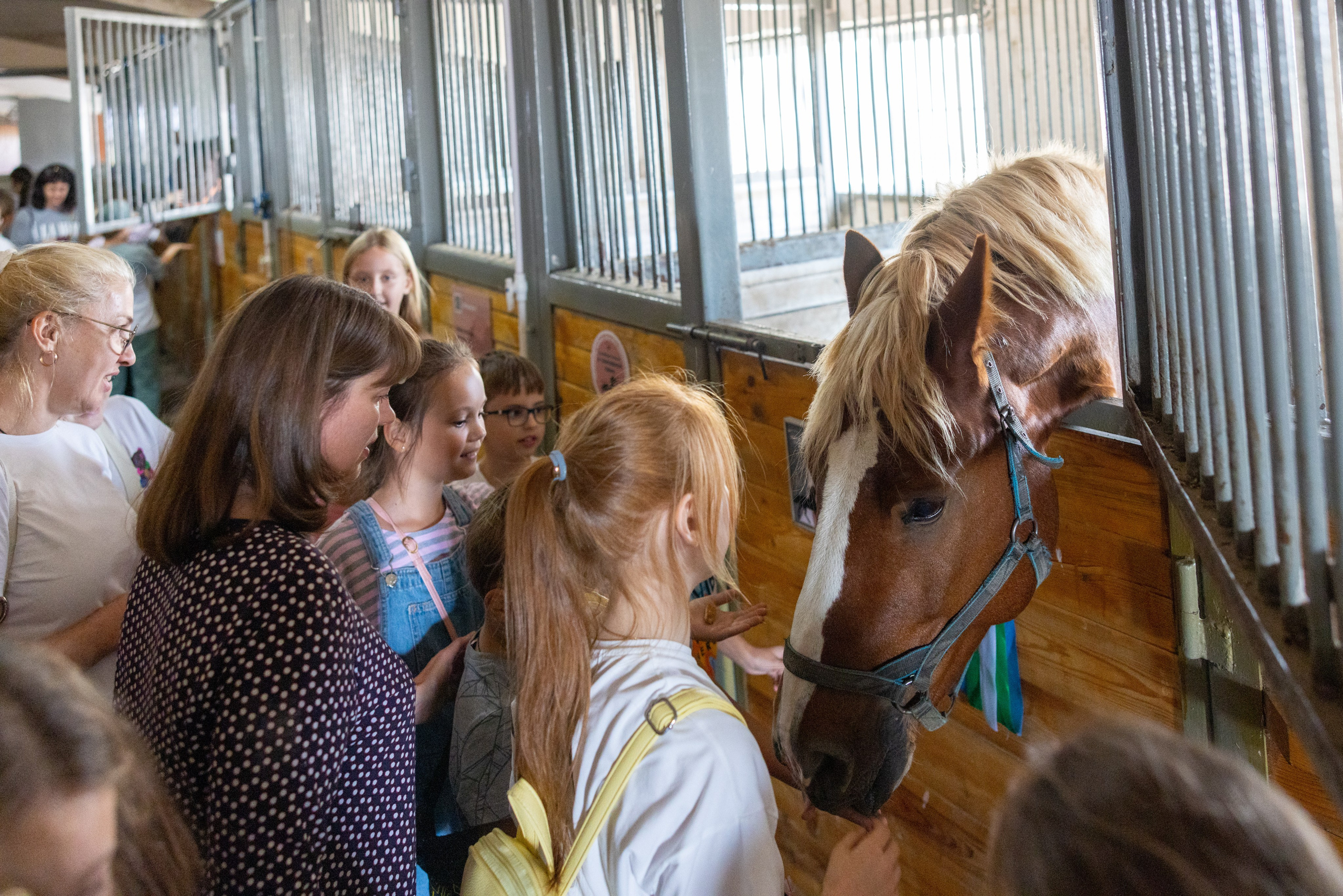 Поездка на поле Кулеково. Фотограф в Туле Крупский АнДРей. Фотостудия «КАДР71» в Туле