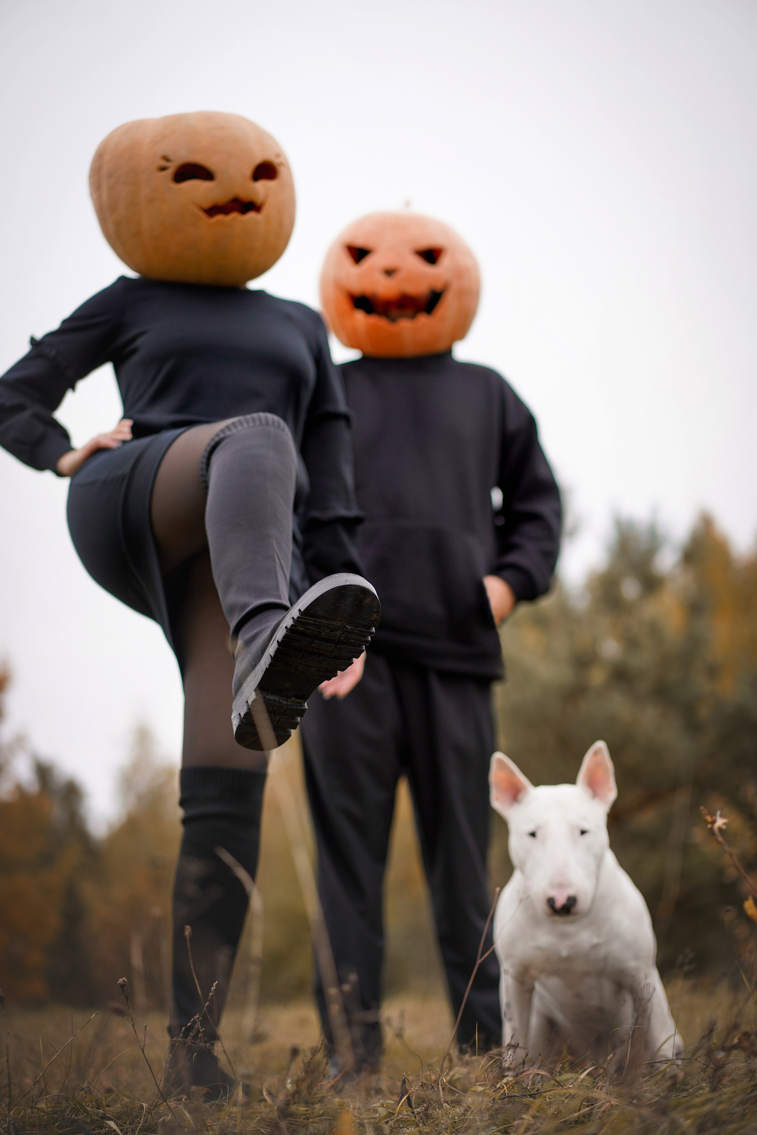 Настя Рома и Сахар Хелоуин. Фотограф-анималист в Санкт-Петербурге Яна Мартынова