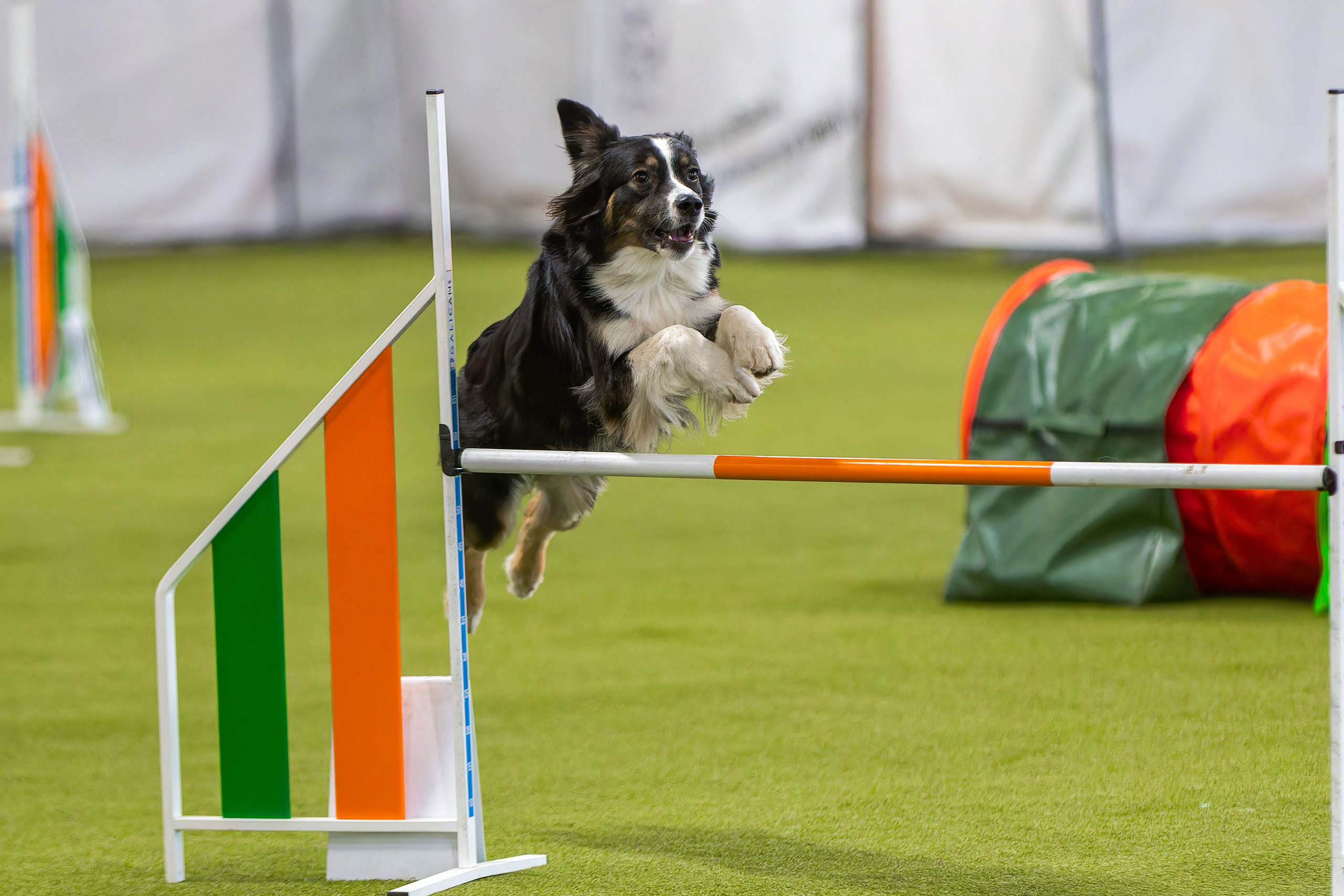 Baltic Cup 2024. Irenephoto.ru