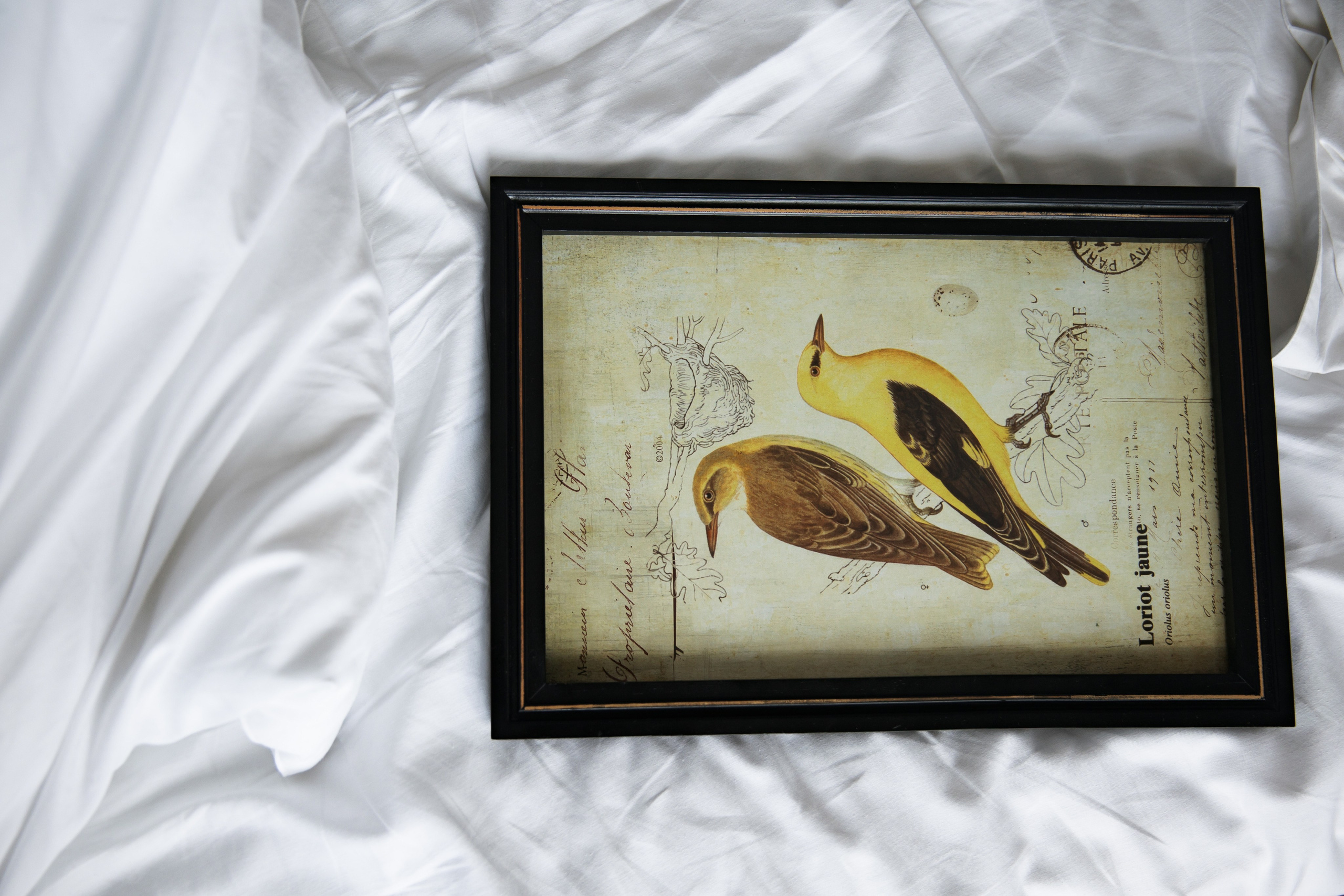 ГОРЫ_ПО_КОЛЕНО. Wedding photographer in Europe