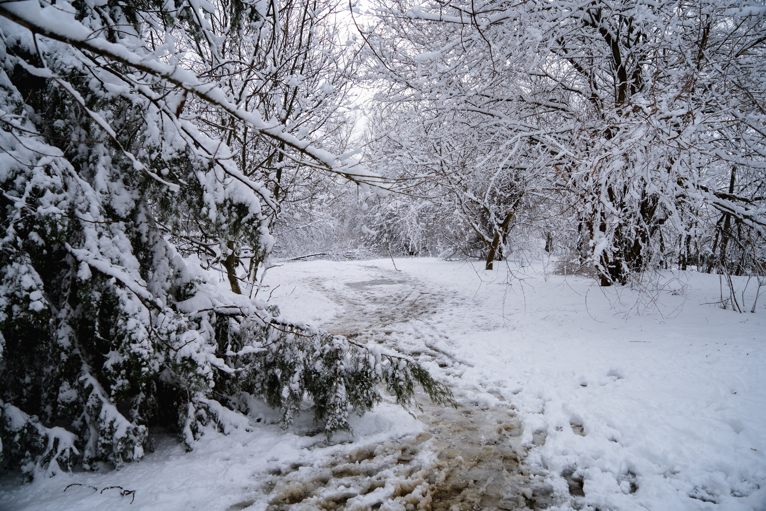 Зима 2024. Свадебный и семейный фотограф/видеограф в Краснодаре Наталья Осинская