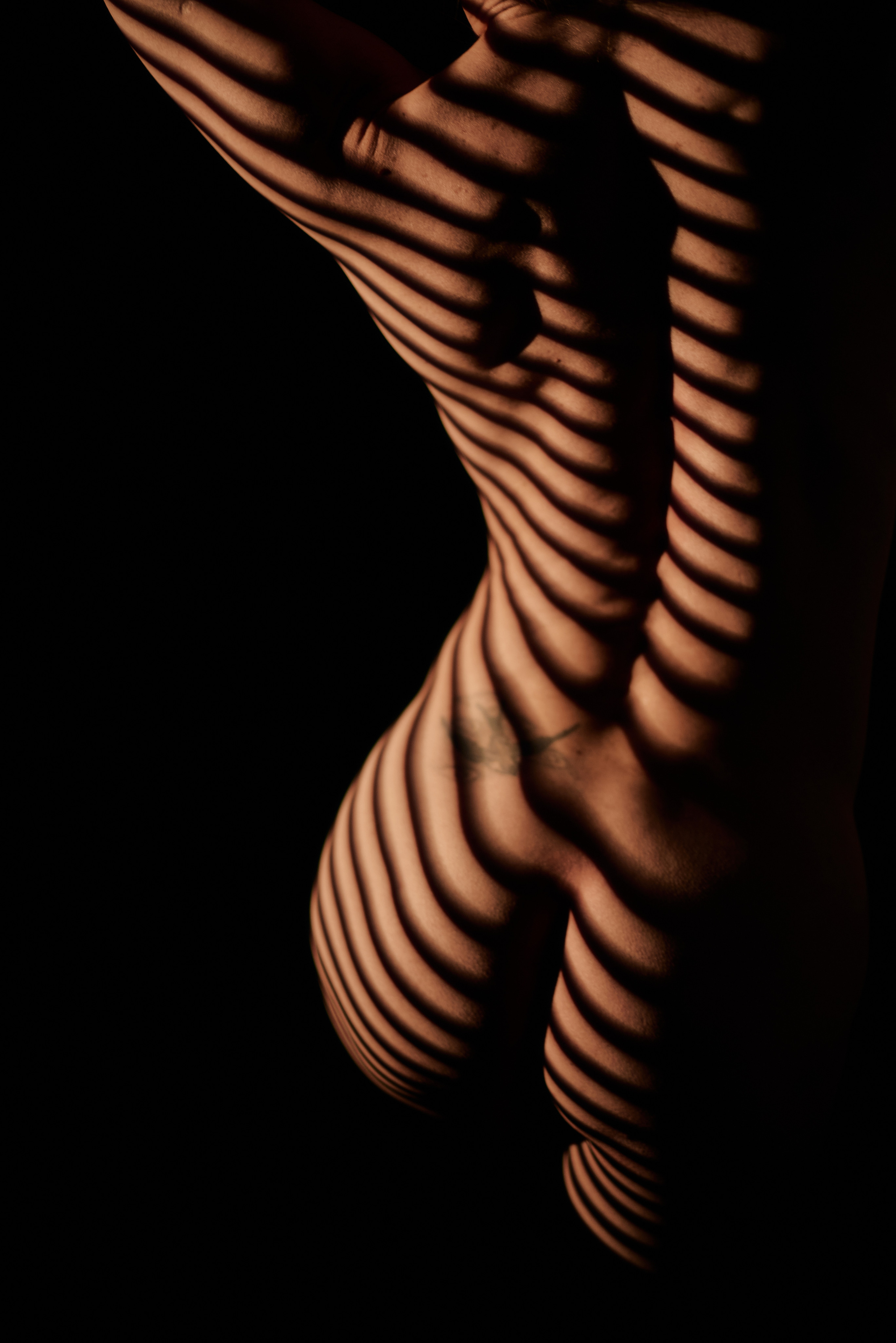 Обнаженная спина на темном фоне, тень от жалюзи