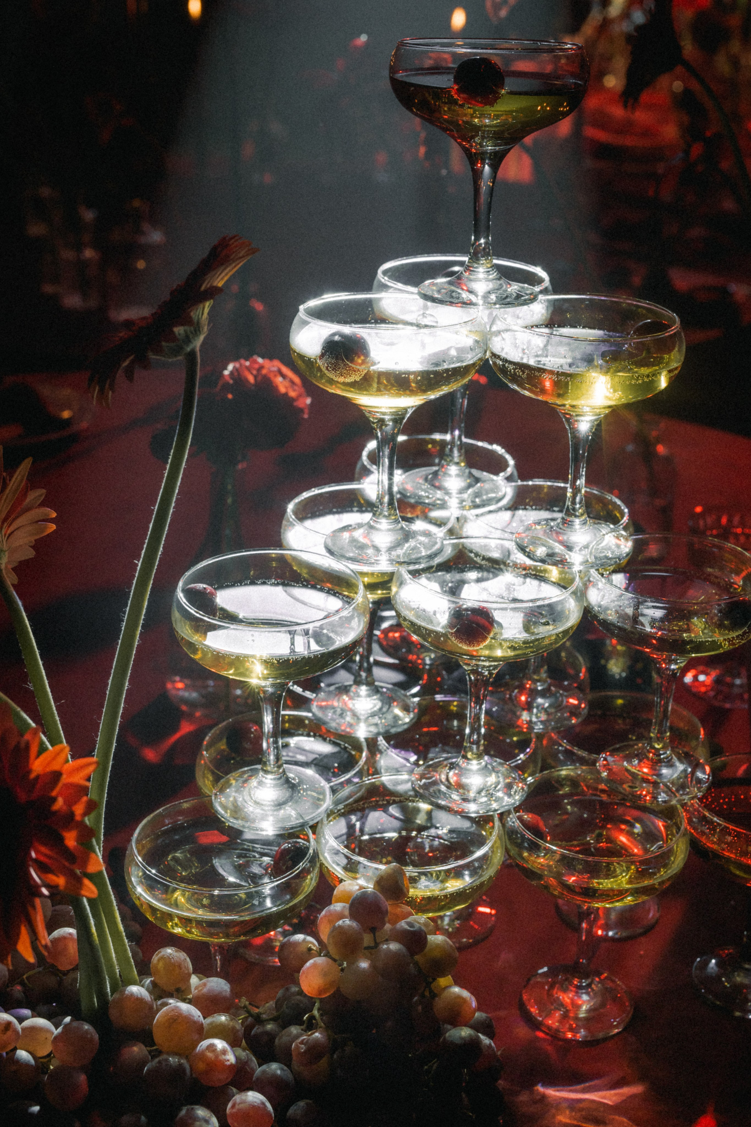 Красивая свадьба в Красном цвете. Свадебный фотограф в Краснодаре и по всему ЮФО и Миру Ольга Гусева