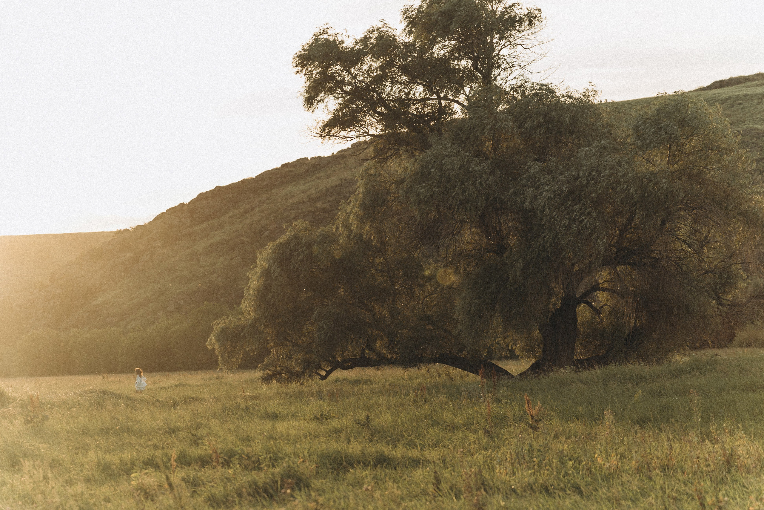 Леся. Свадебный и семейный фотограф в Екатеринбурге Катя Буряк