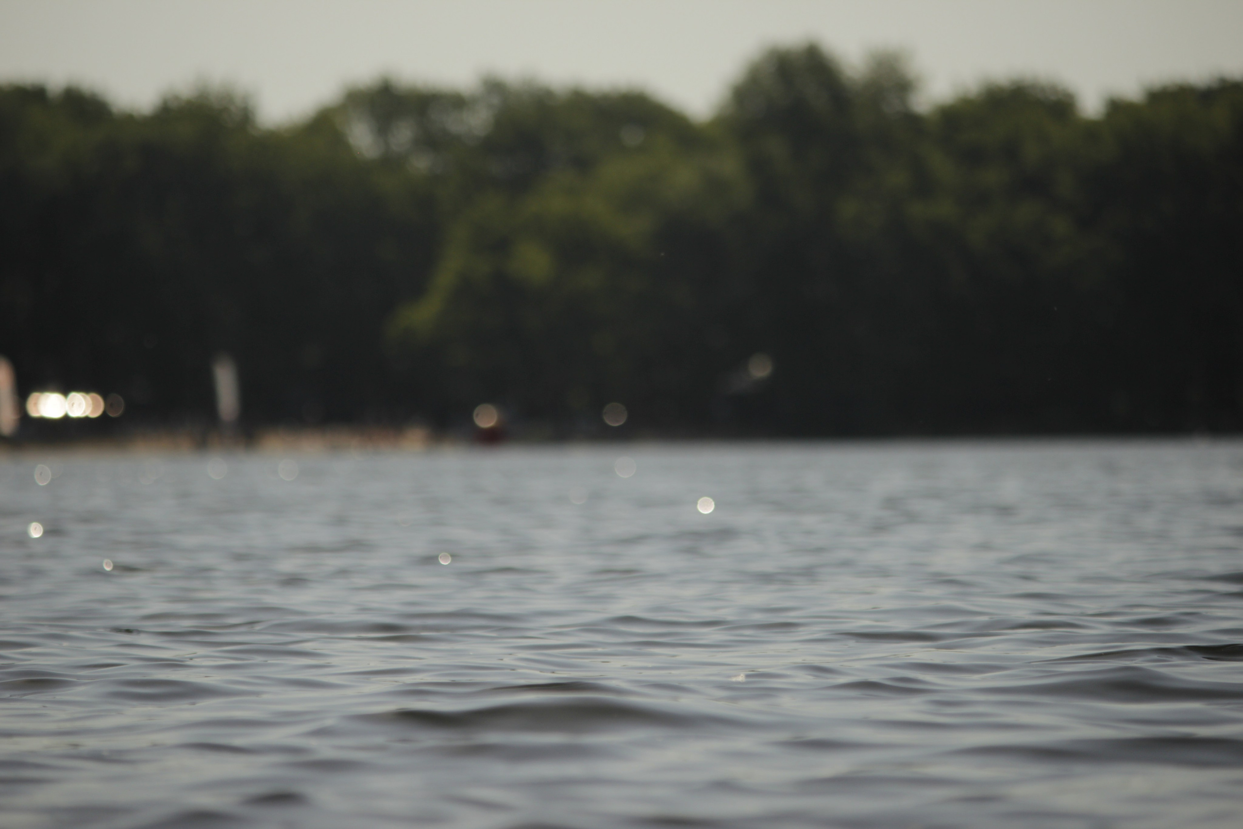 Сёрфинг в Саратове!. Фотокрыжовник. Снимаем, дружим, путешествуем