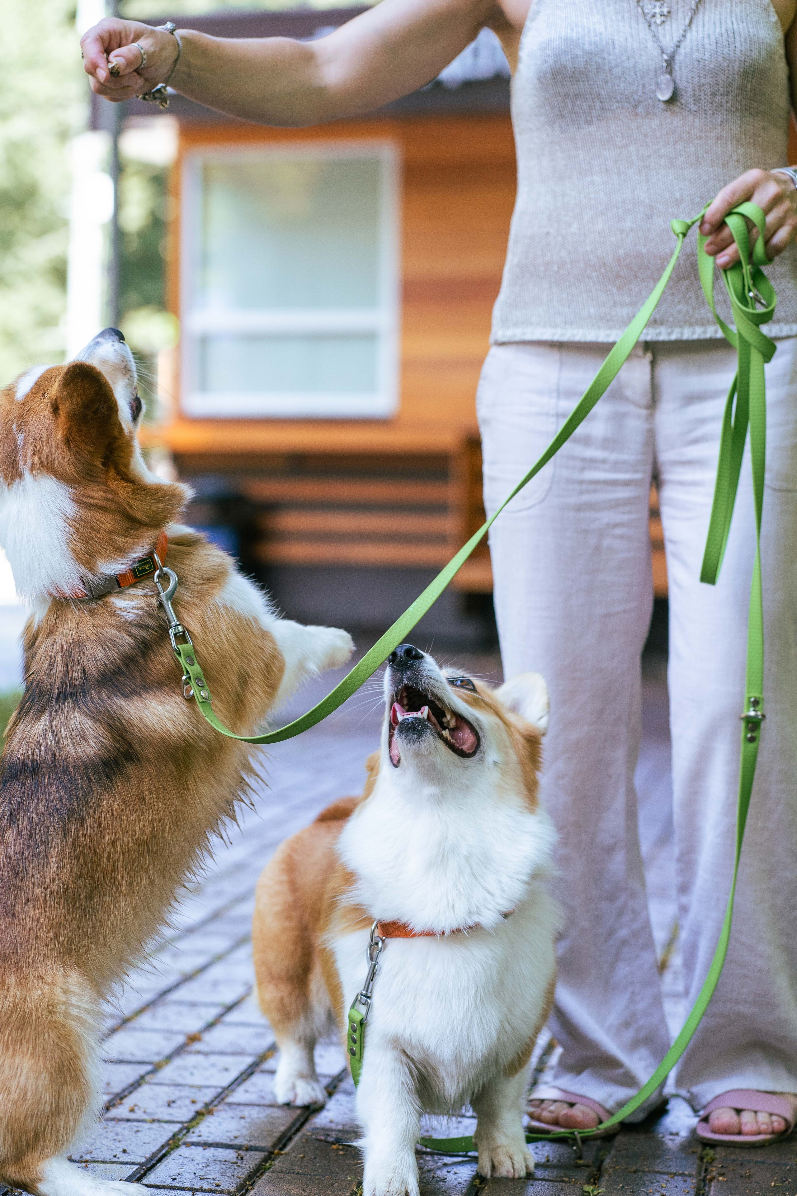 Ольга и коржики. Свадебный фотограф в Москве Анна Полушина