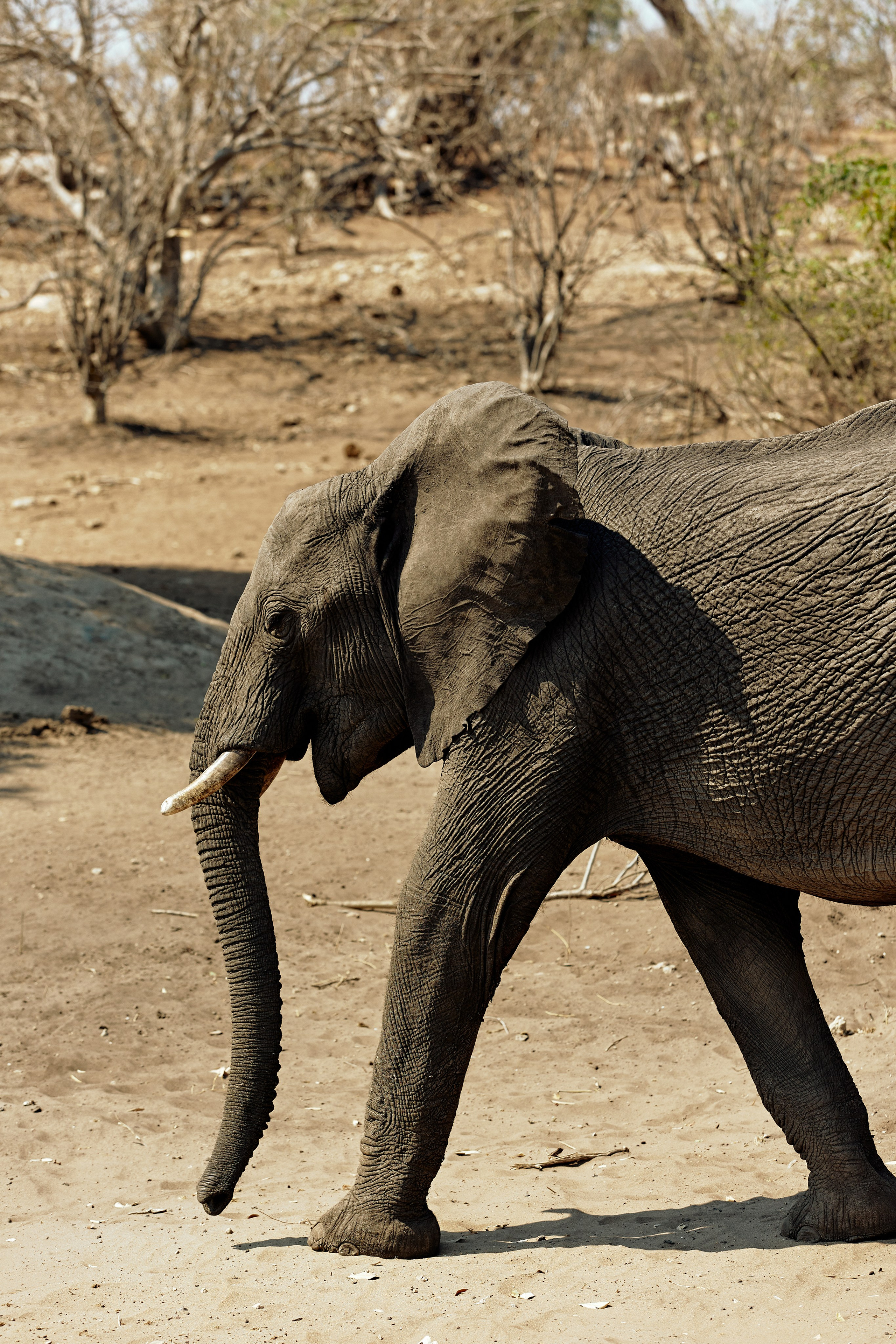SOUTH AFRICA EMBA 38. Дмитрий Мазуркевич: Профессиональный Репортажный Фотограф