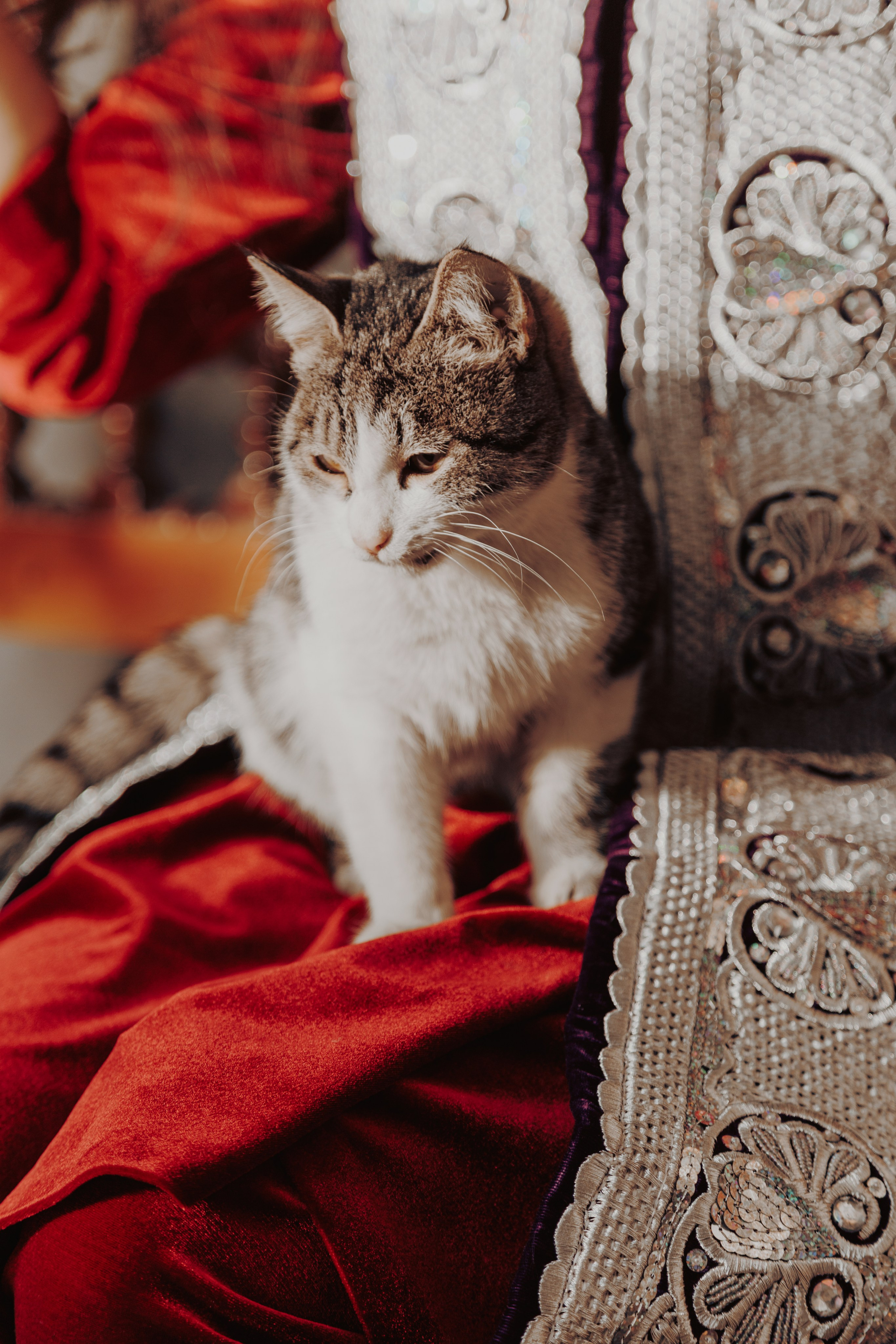 Узбекистан. Креатор Ольга Яш