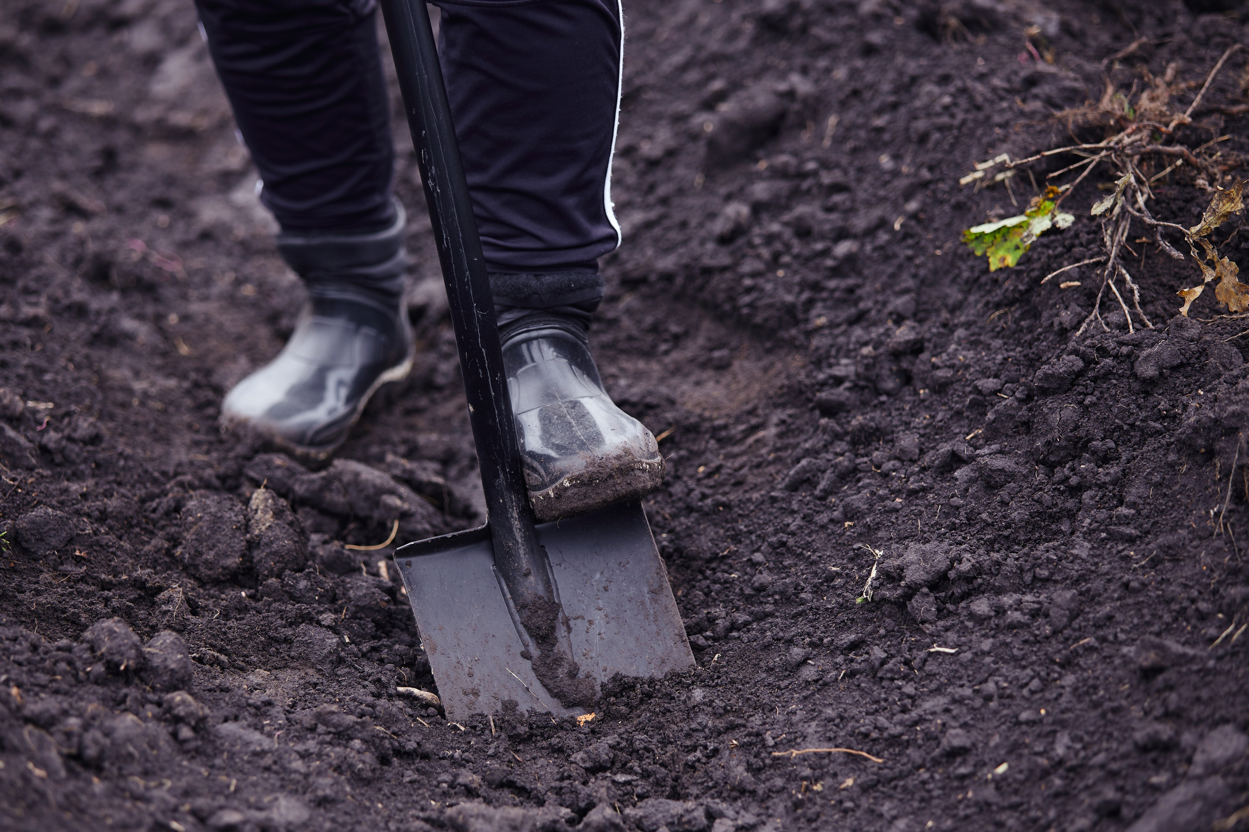 Акция «Зелёная Дубрава» на Куликовом поле. Даниил Гузиенко — репортажный фотограф в Туле