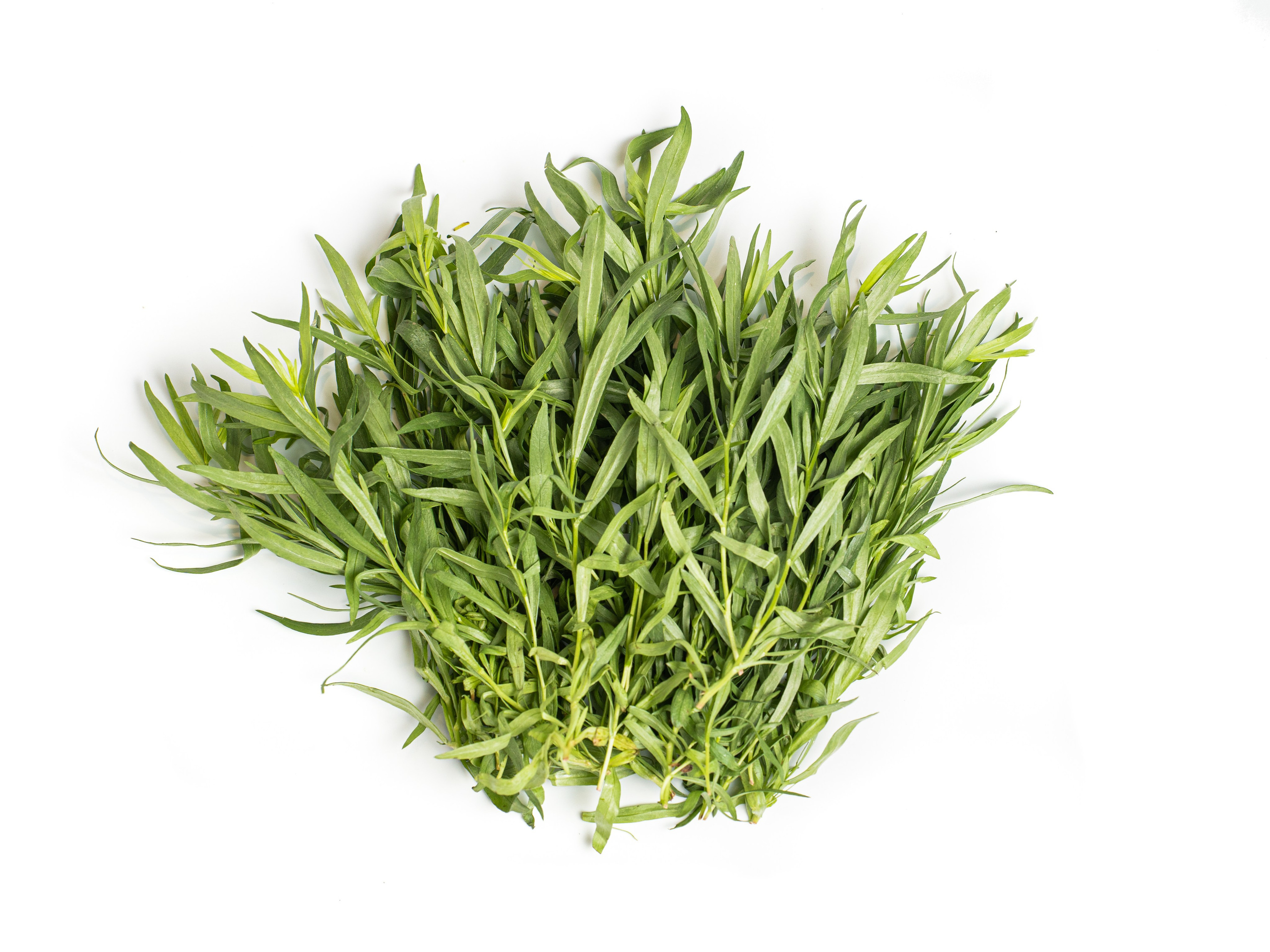 Яндекс Маркет. Предметный и фуд-фотограф в Москве Анна Царенко