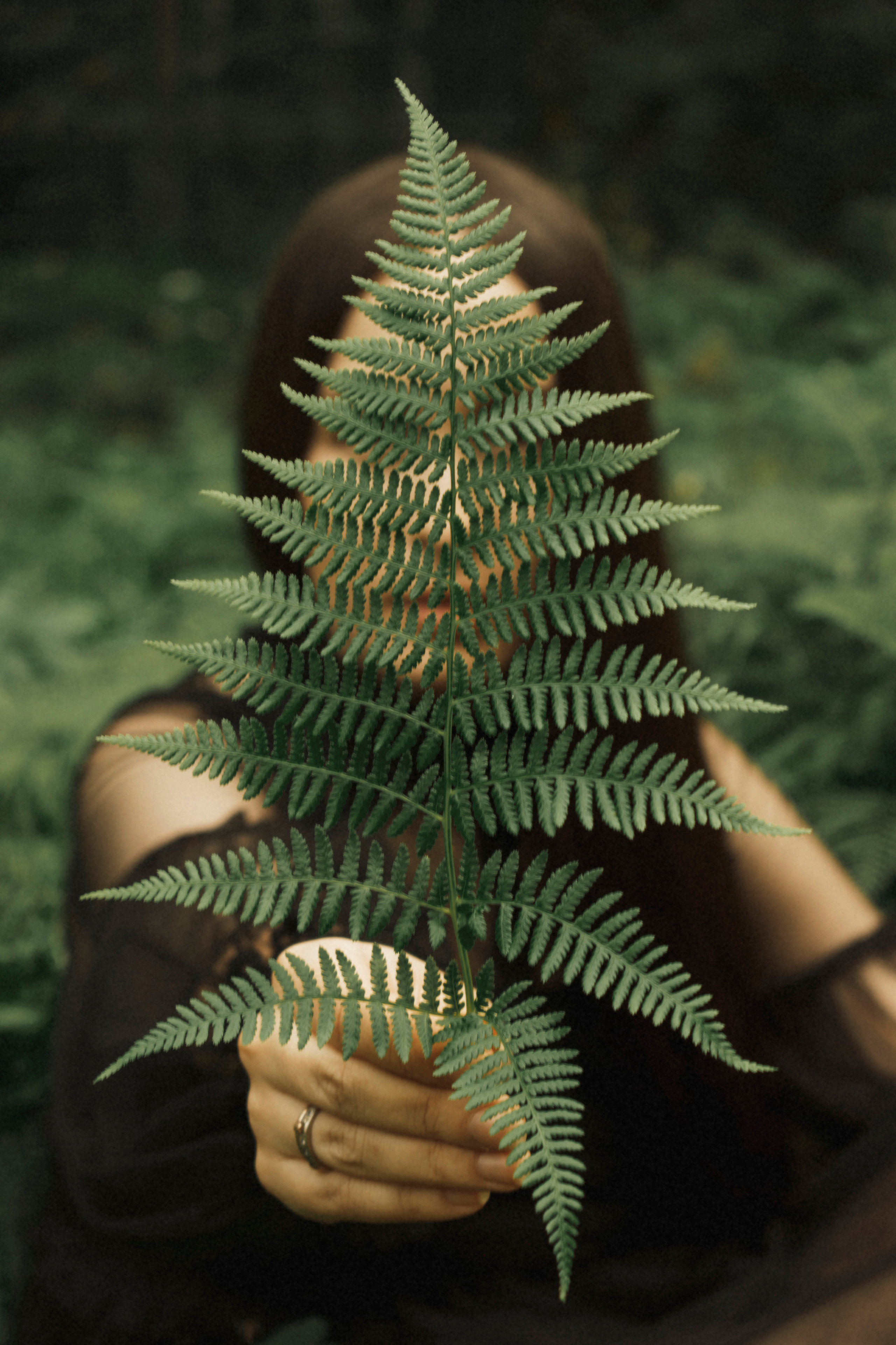 Александра. Фотограф Хабаровск