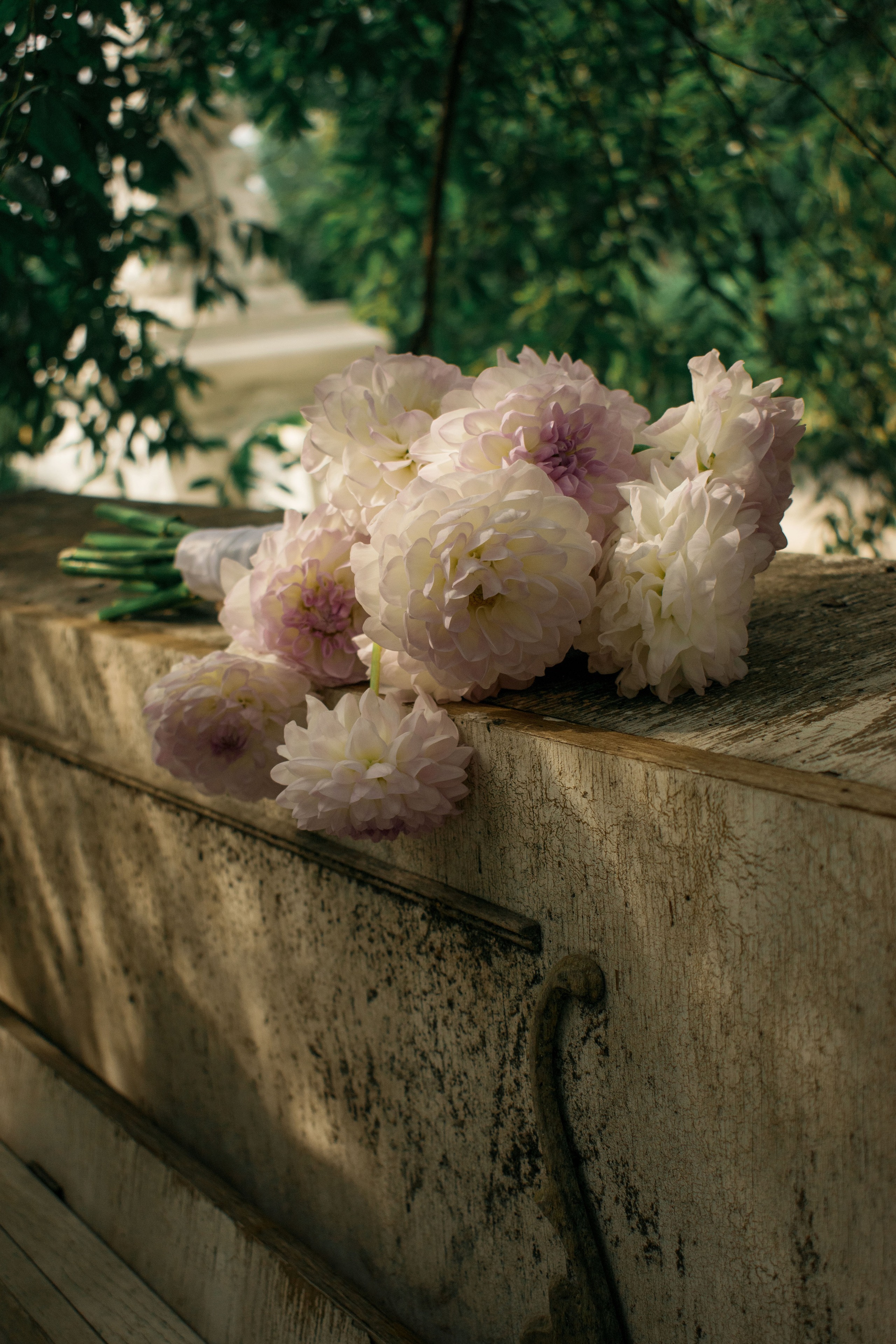 Иван и Алёна. Фотограф Хабаровск