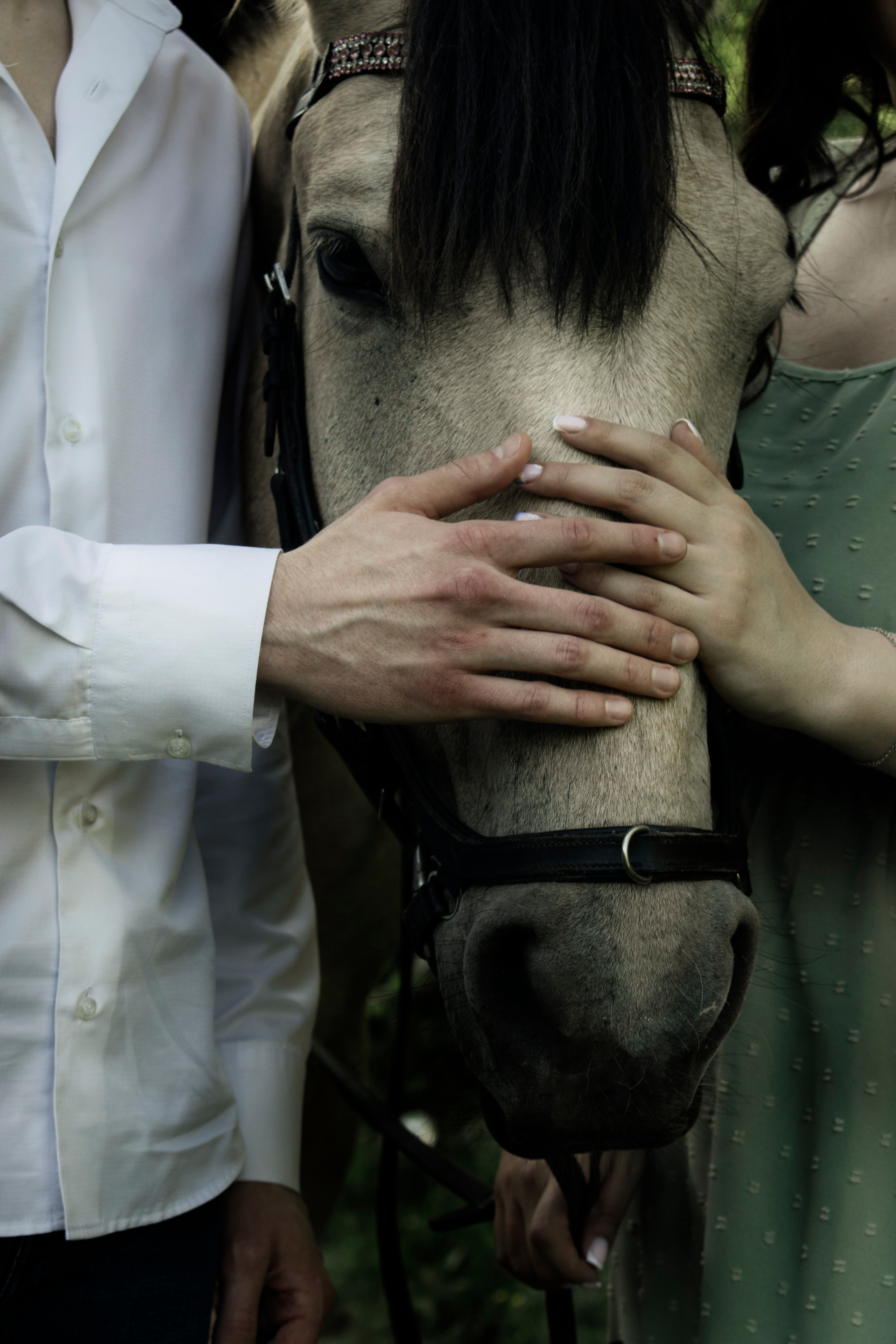 Диана и Даня. Фотограф Хабаровск