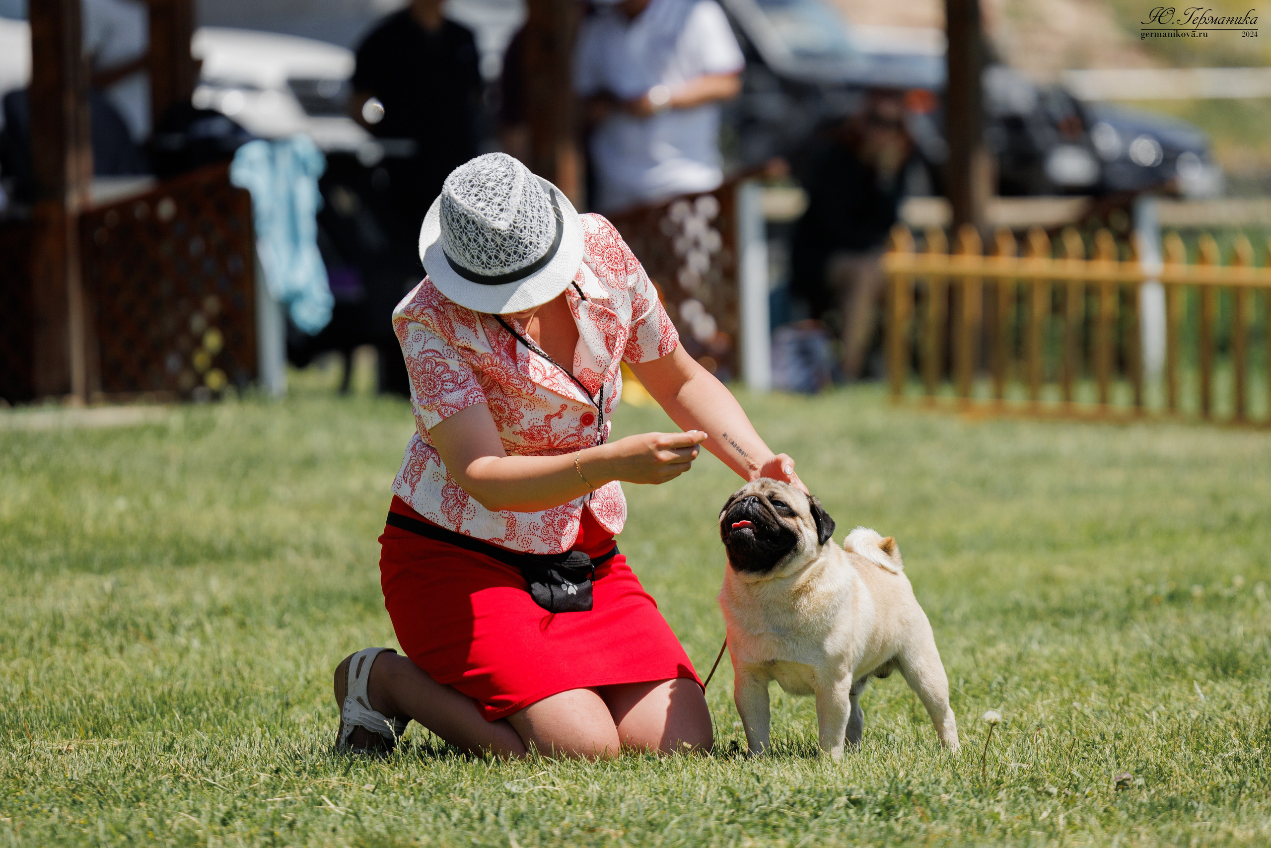 Ереван 3-5.06.2024. Фотограф-анималист Юлия Германика