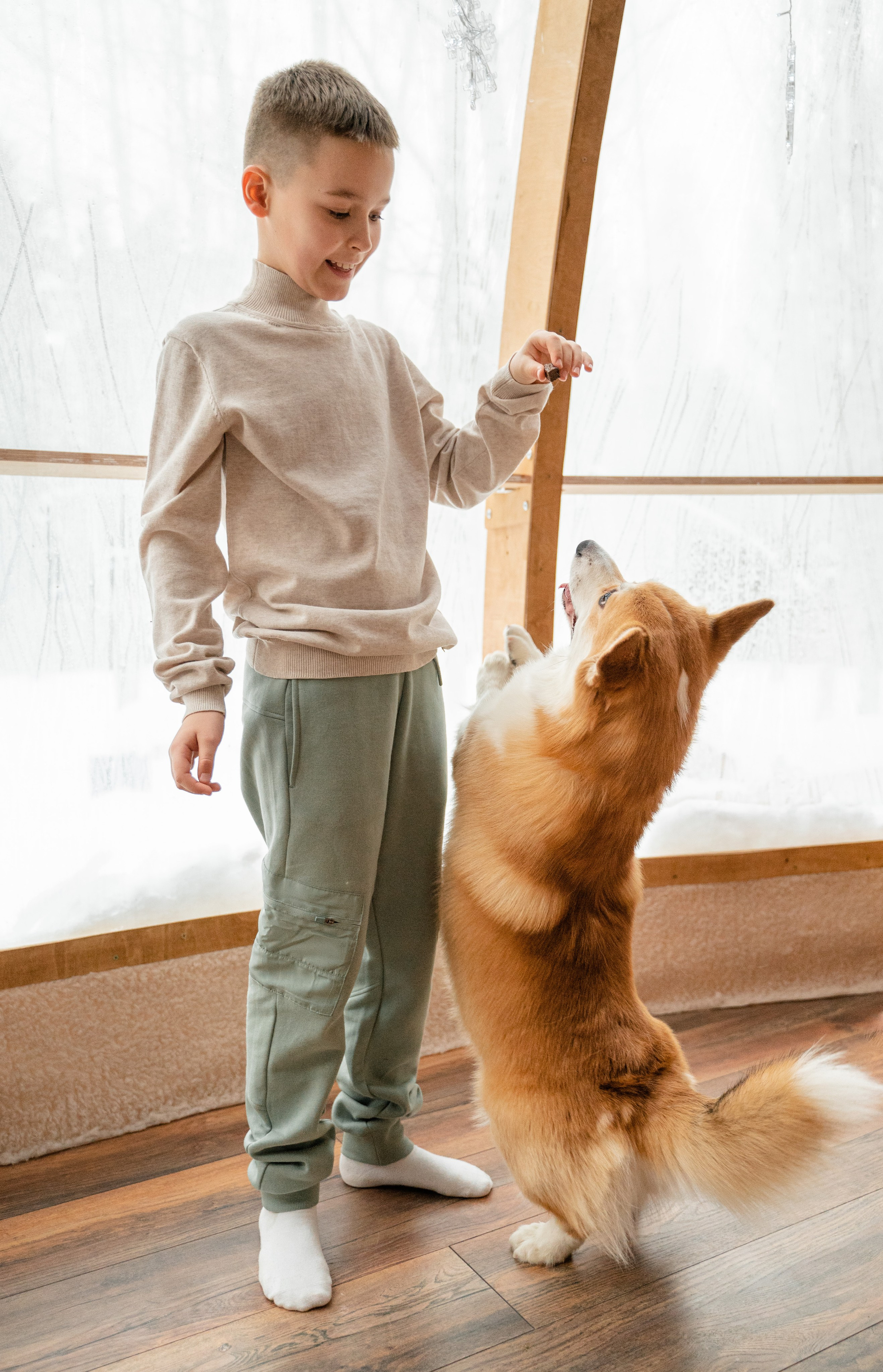 Юлия Bagio. Свадебный фотограф Ирина Димитриева