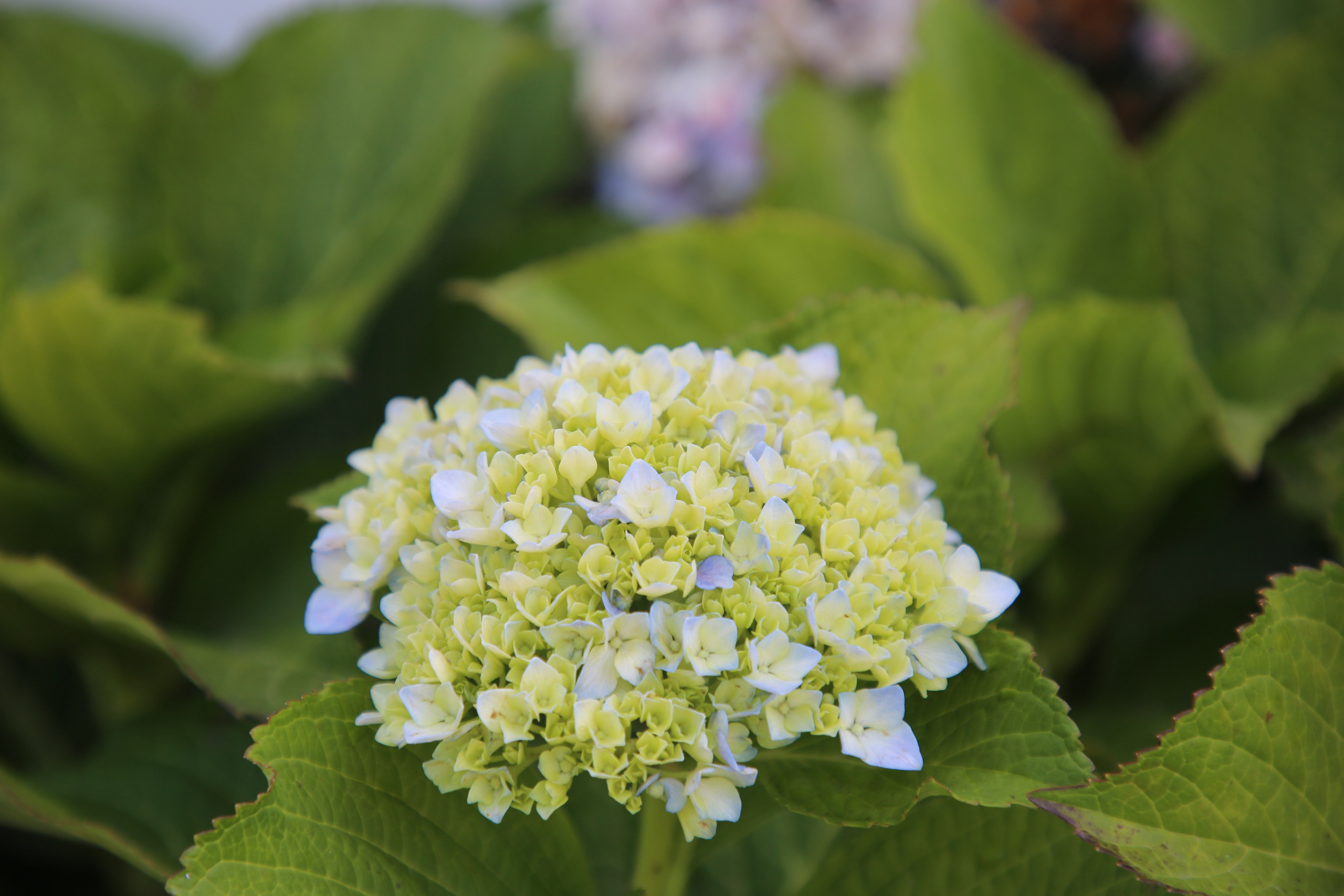 Espihnio, Portugal. Andrey Filippov Photographer