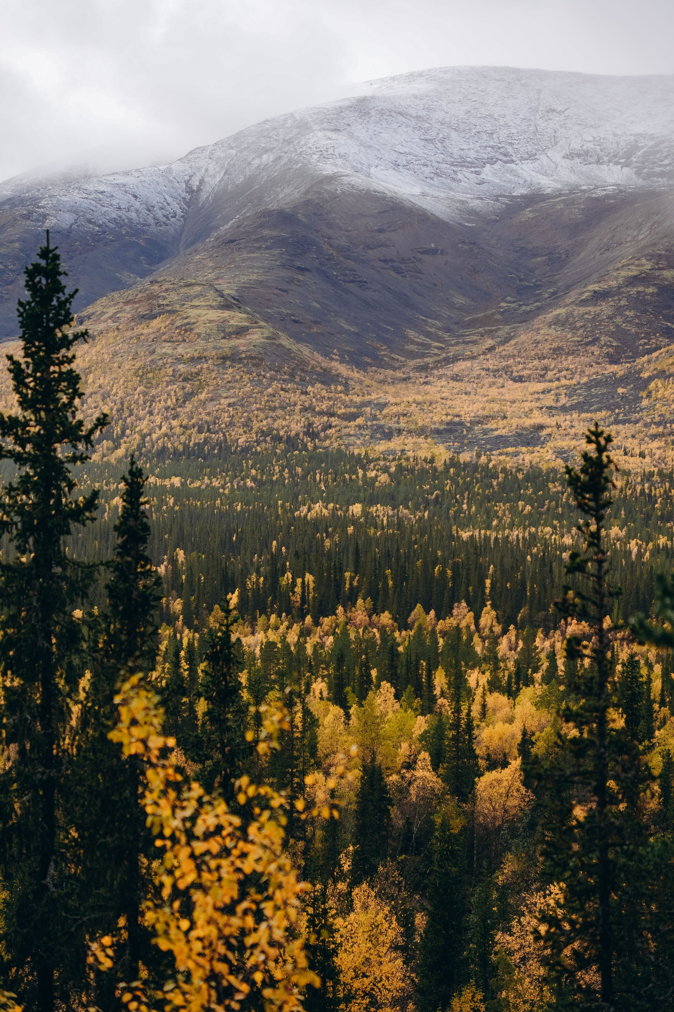 СЕВЕР. Event фотограф Степанова Александра