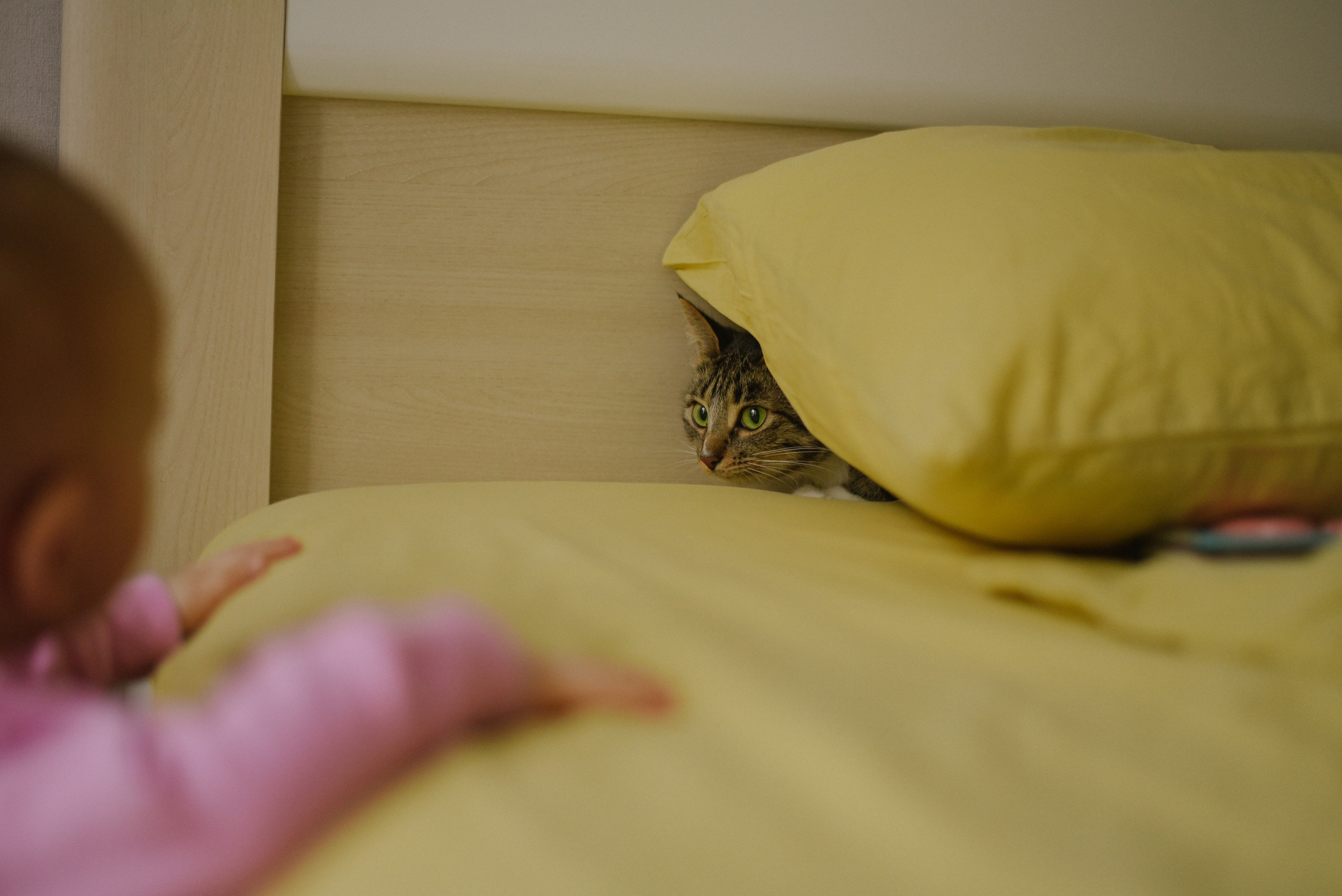 Варя и Маша. Фотограф Лола Волна, город Москва