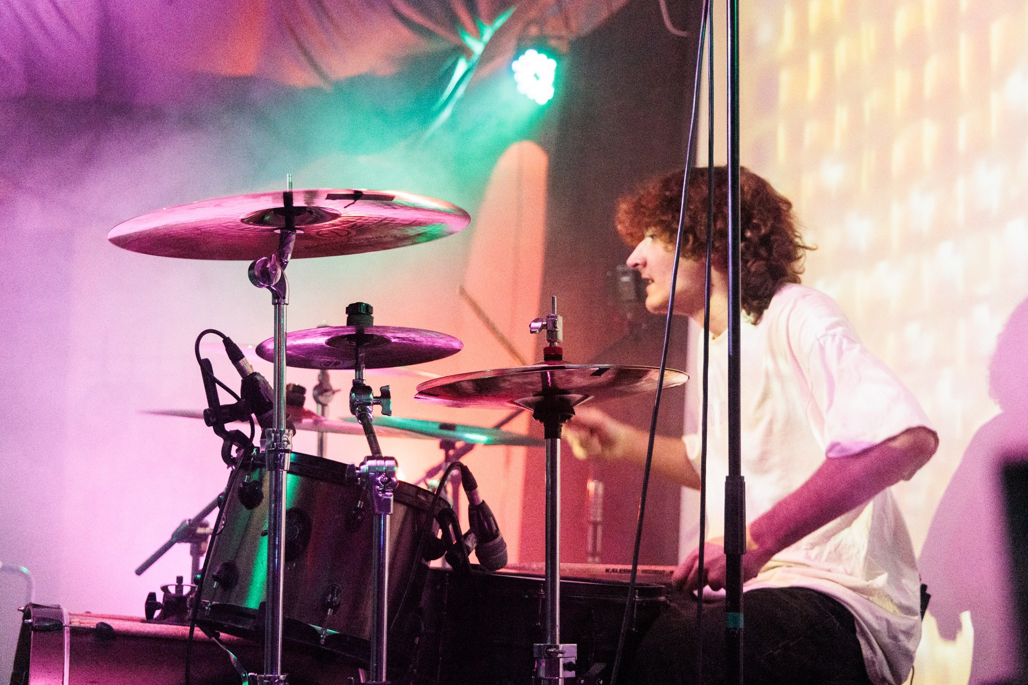 Змееед, Apodemus, 20.12.25, TAGO)))MAGO)))