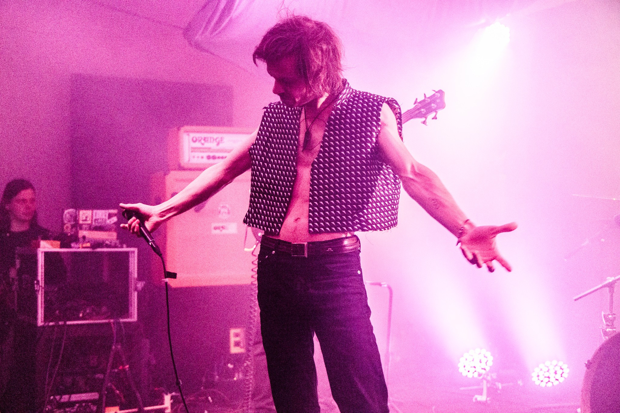 Змееед, Apodemus, 20.12.25, TAGO)))MAGO)))