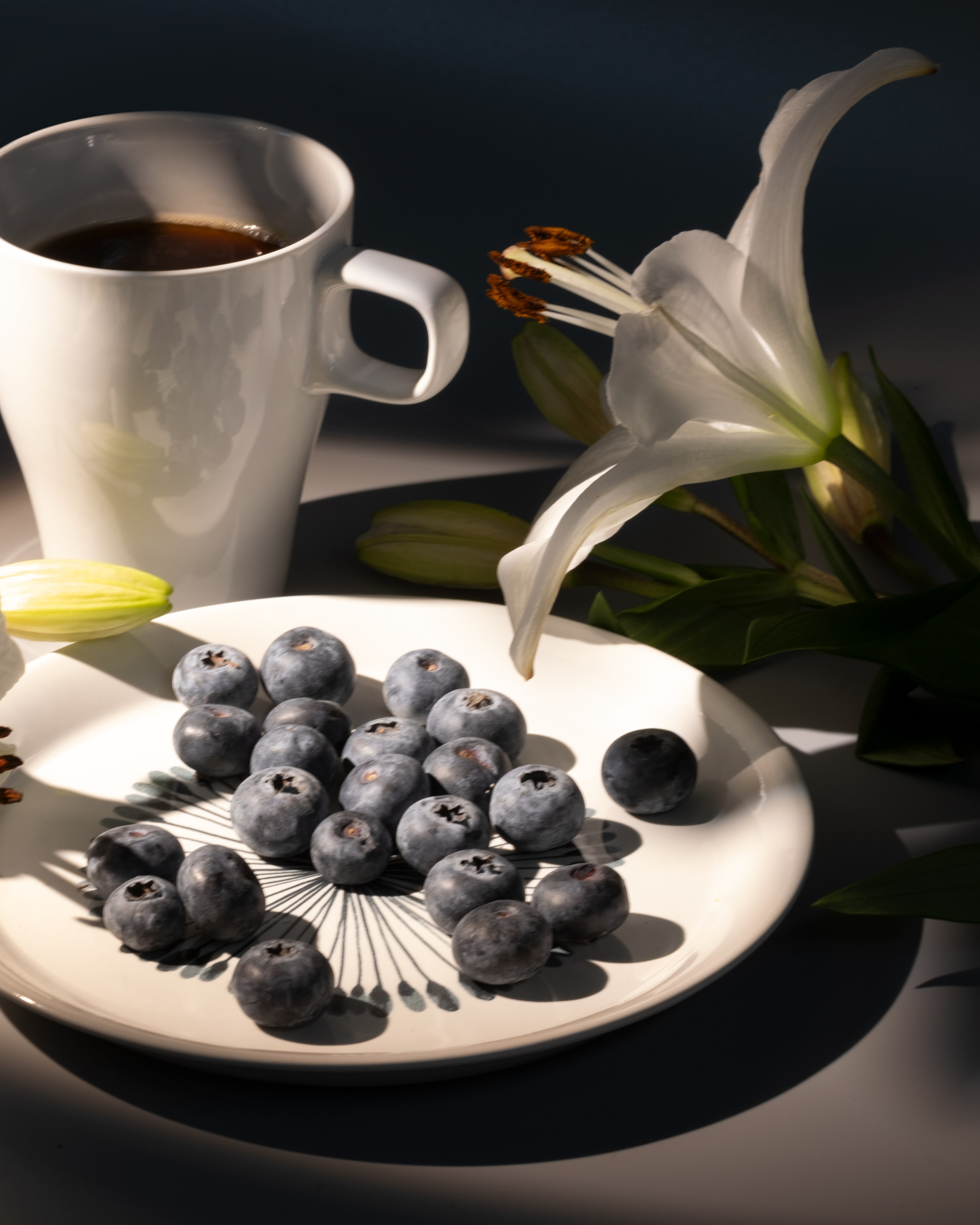 Черника. Фотограф Коробова Екатерина