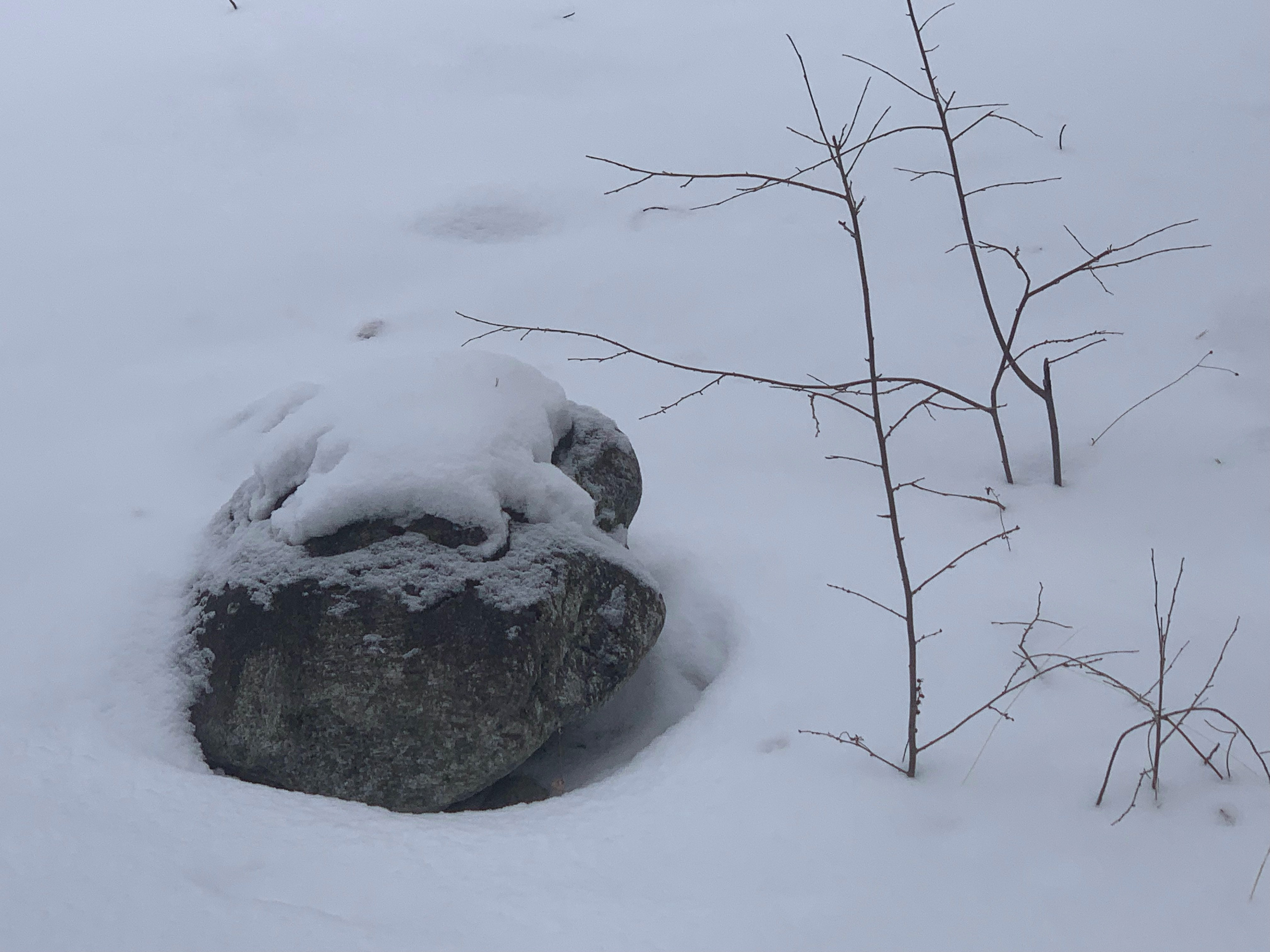 2022. Тащилин Сергей. Фотографии. Жизнь. Хобби