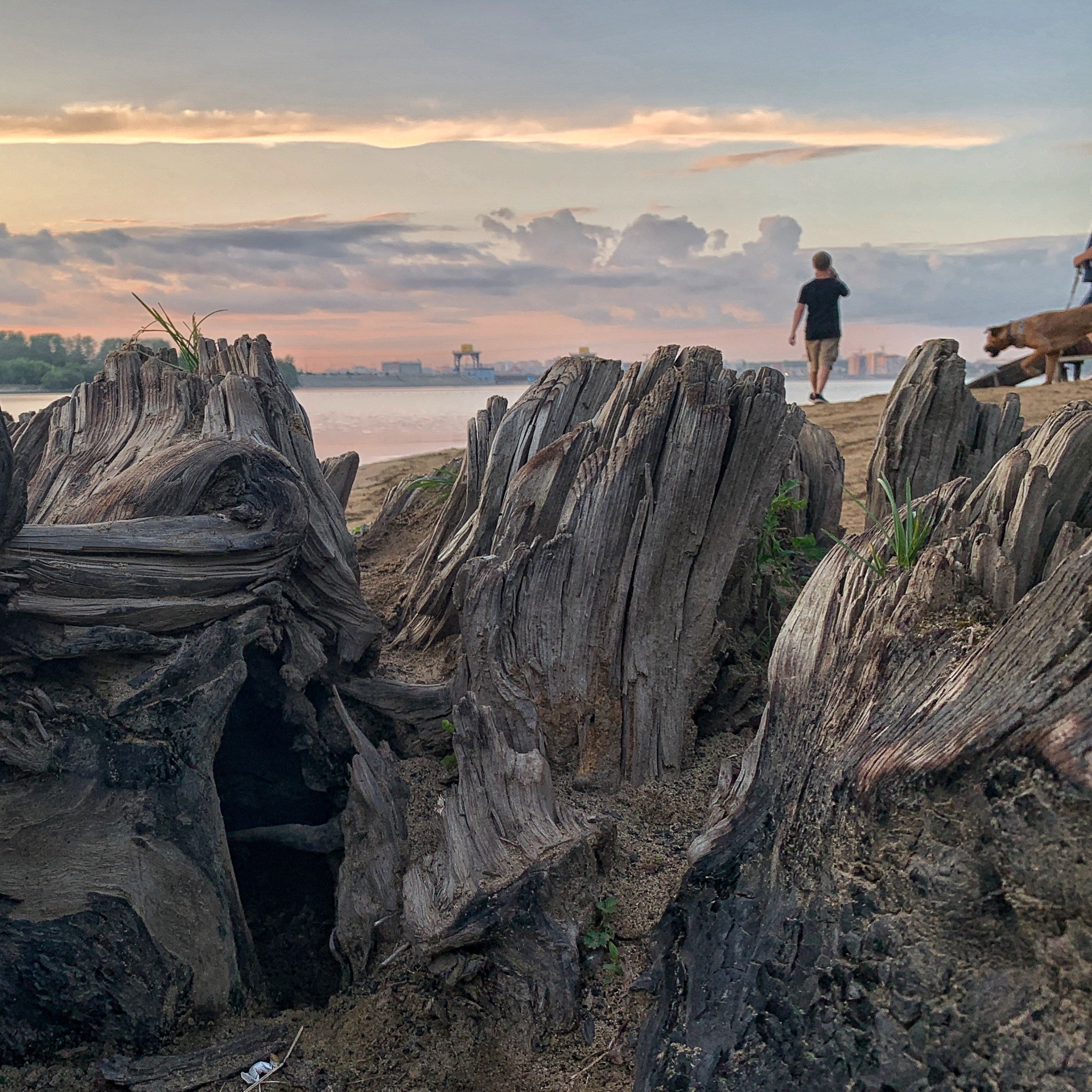 2022. Тащилин Сергей. Фотографии. Жизнь. Хобби