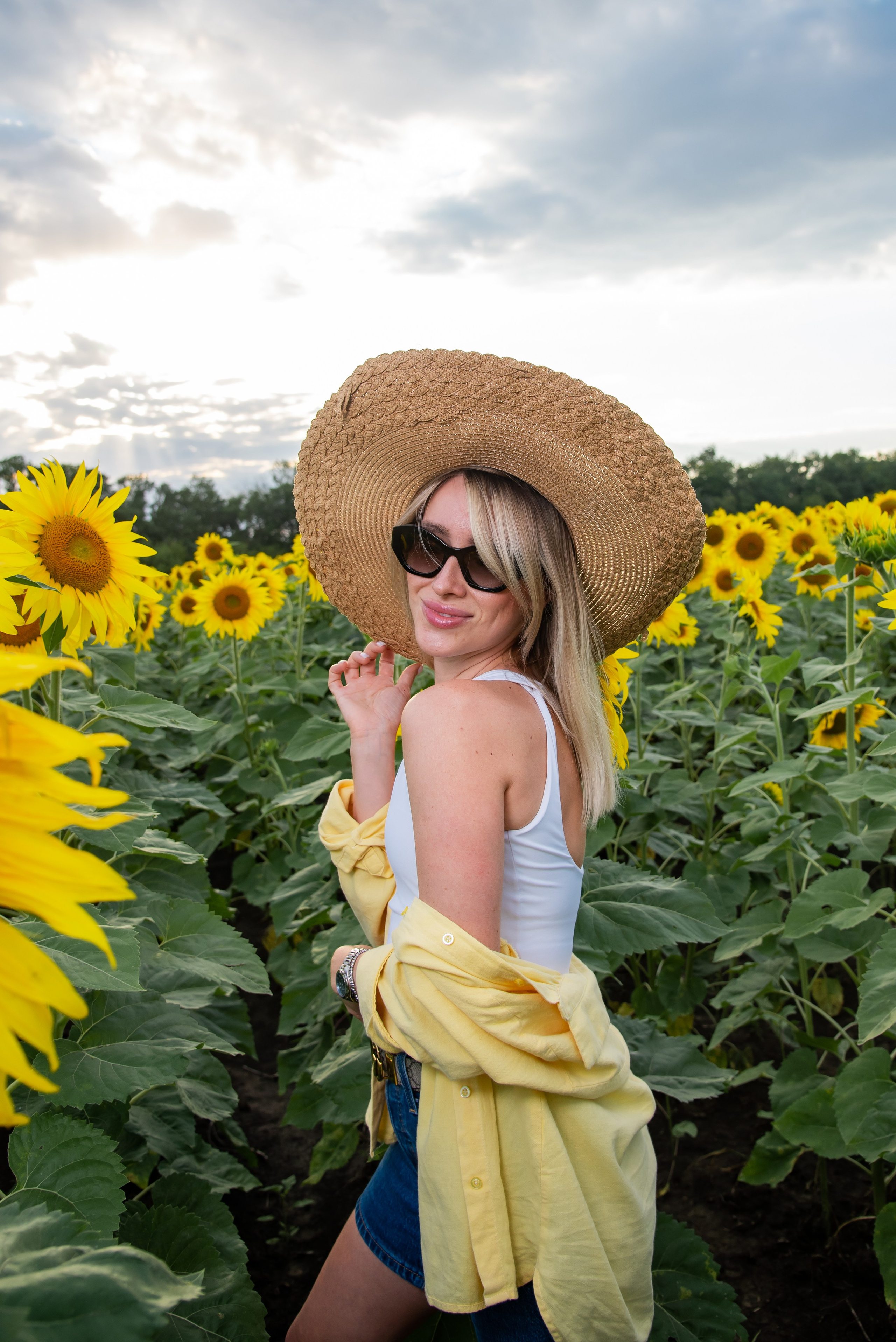 Подсолнух. Фотограф Галина Нестерова