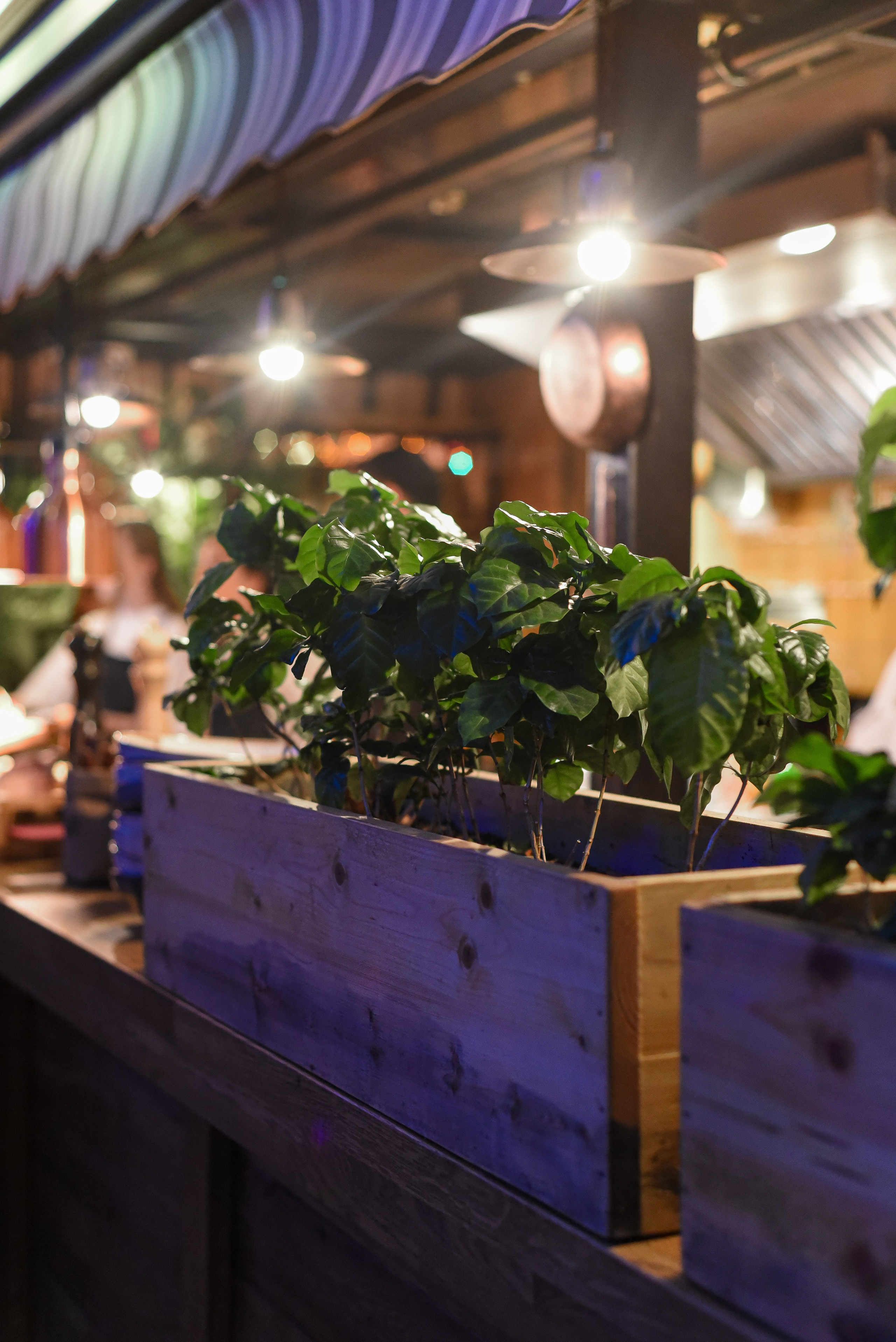 Проекты дизайн-бюро. Фотограф в Москве