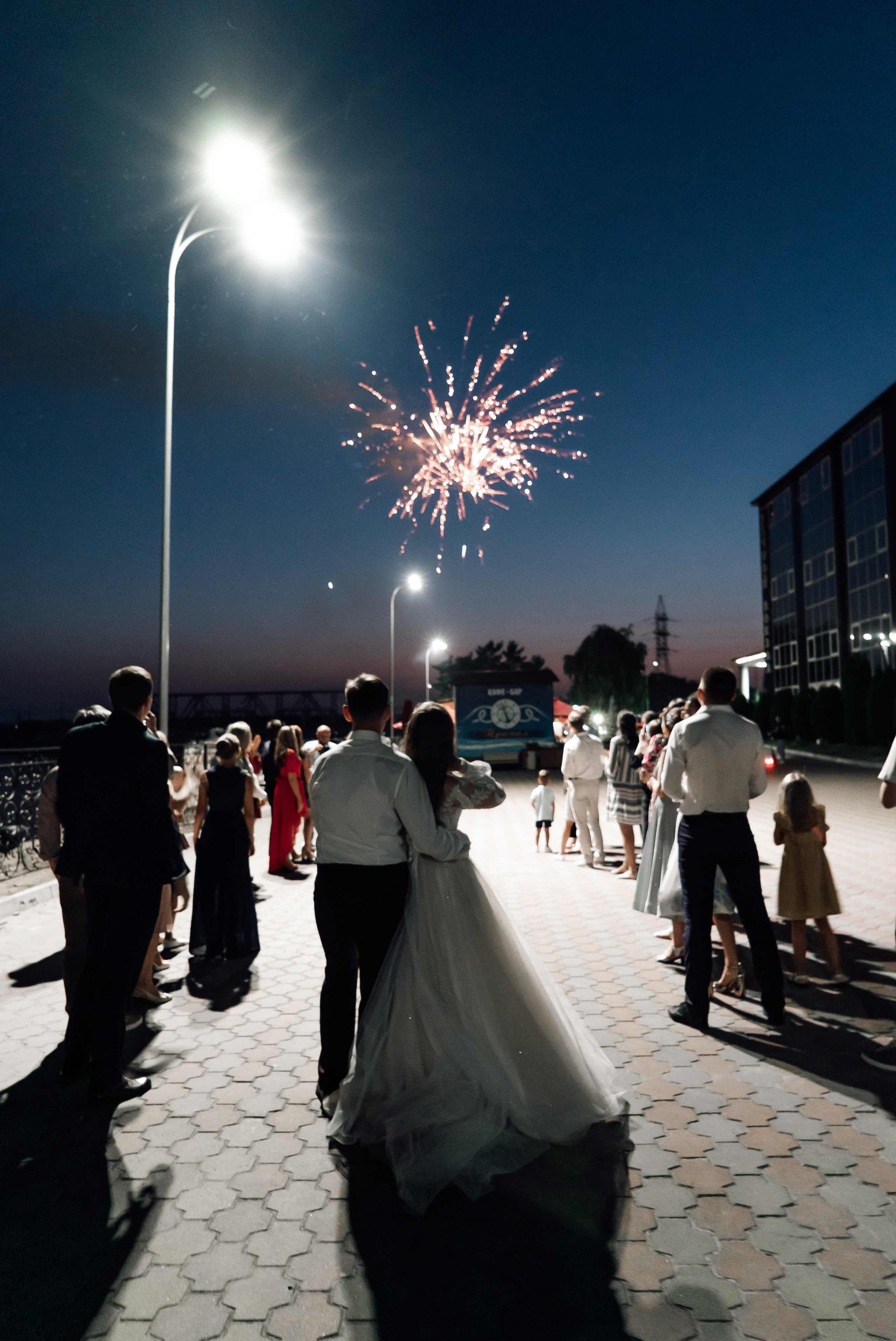 Александр и Алена. Свадебный фотограф в Самаре Анна Ковалева