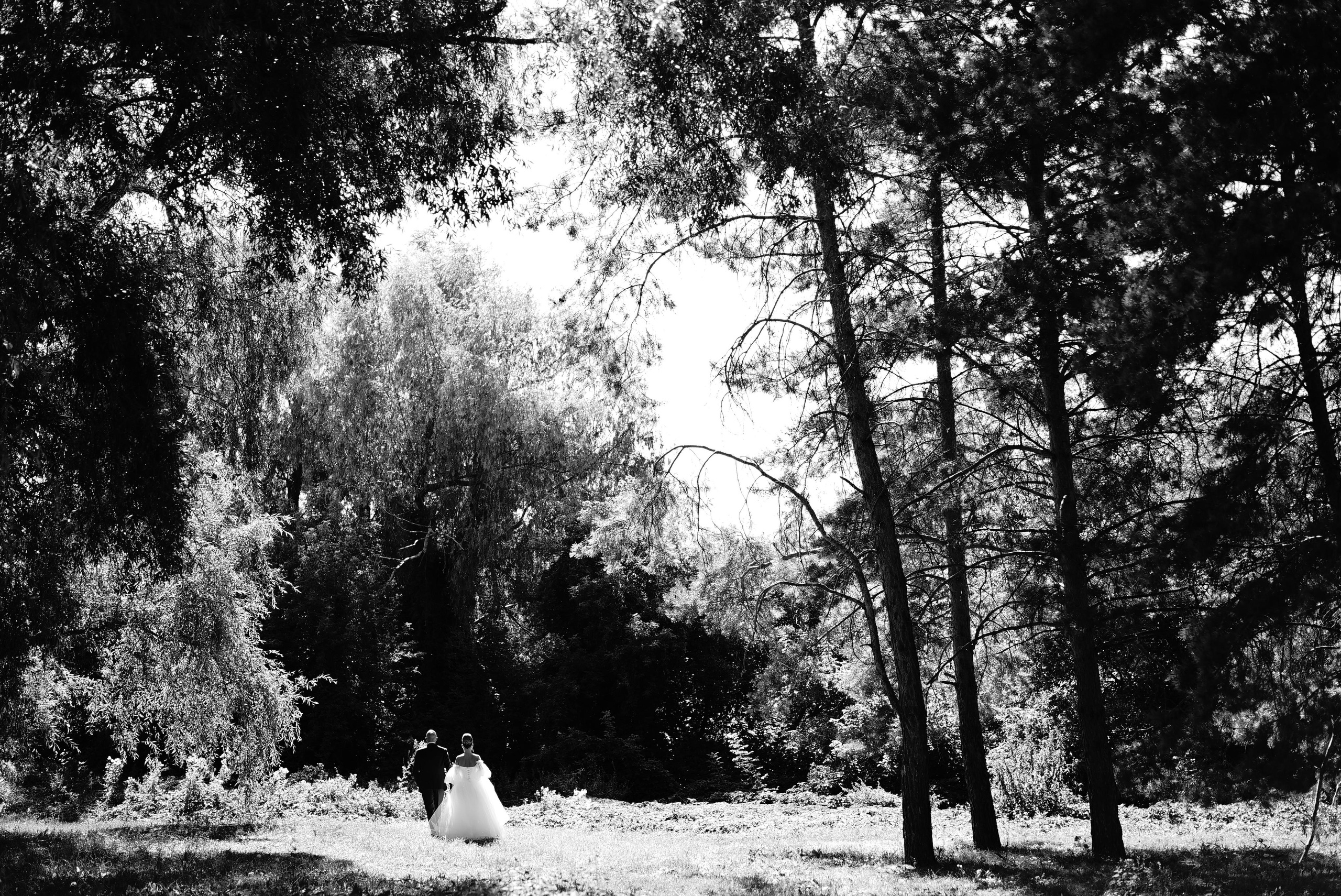 Андрей и Алина. Свадебный фотограф в Самаре Анна Ковалева