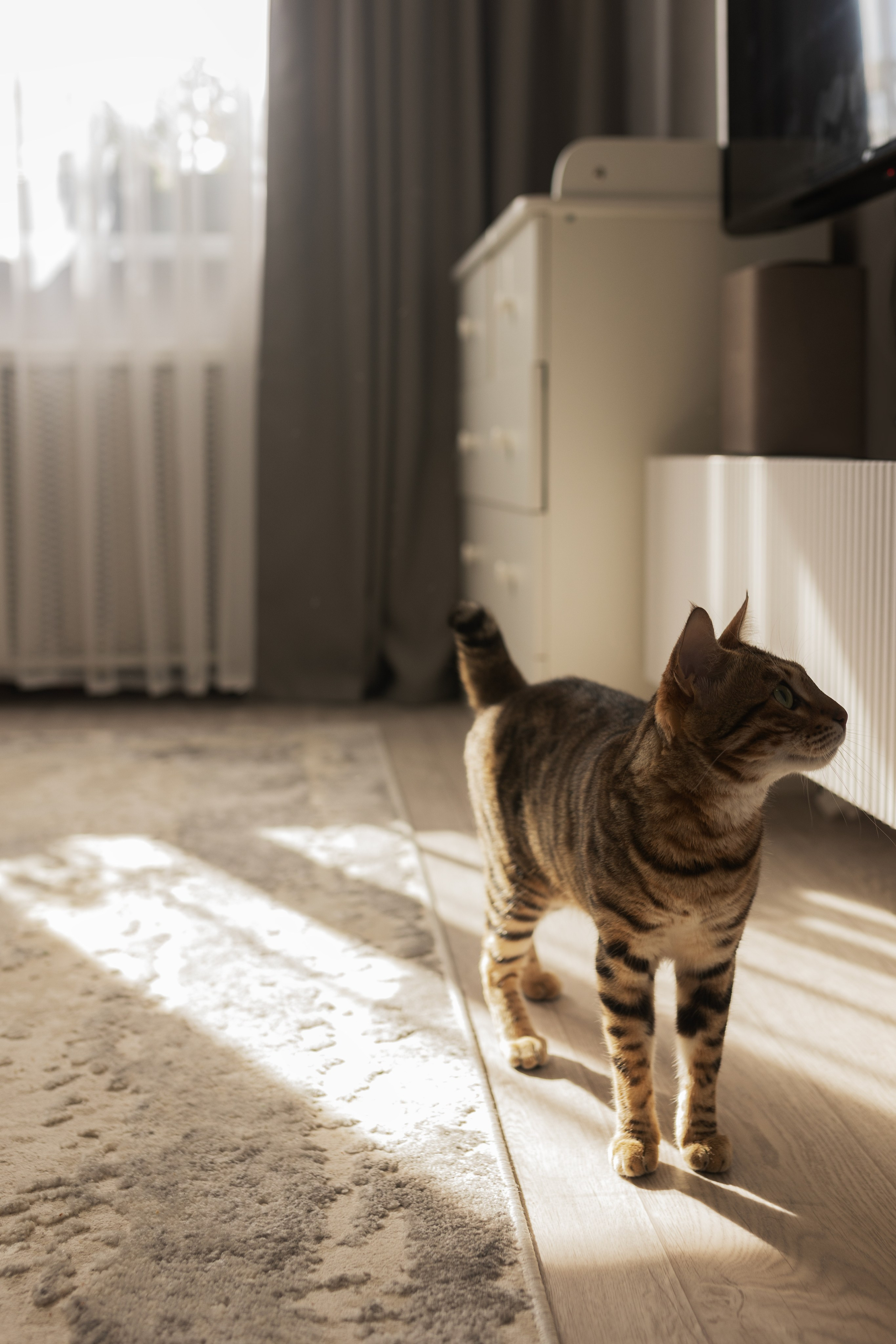 Елизавета, Егор и Валерия. Фотограф Алина Кучумова