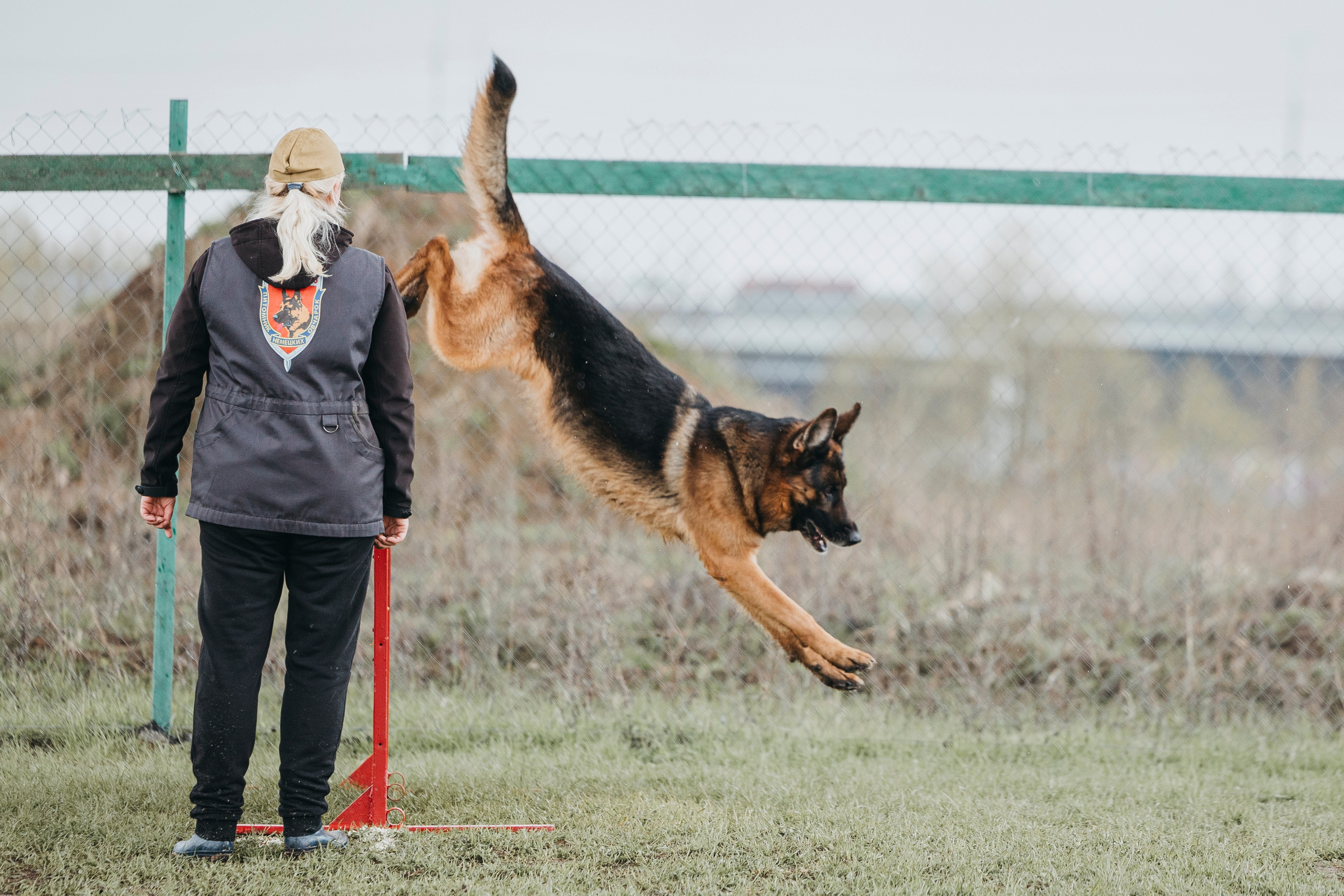 09.05.25 Вологда соревнования. Фотограф-анималист Анна Маринич