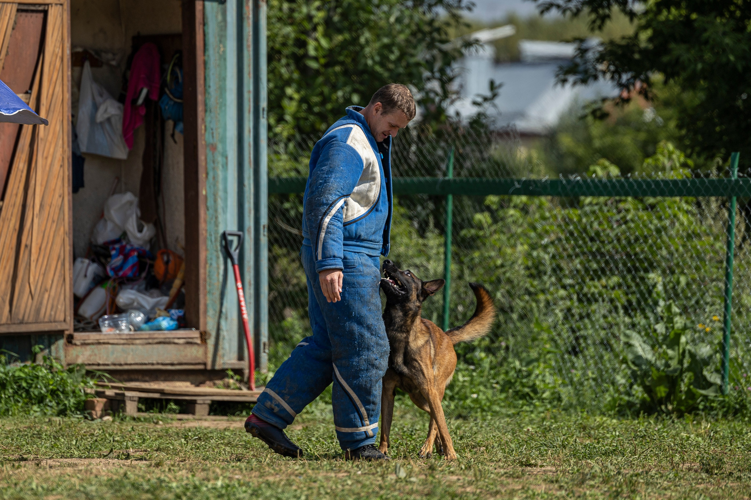 Соревнования по Мондьорингу г. Вологда 10-11.08.2024. Фотограф-анималист Анна Маринич