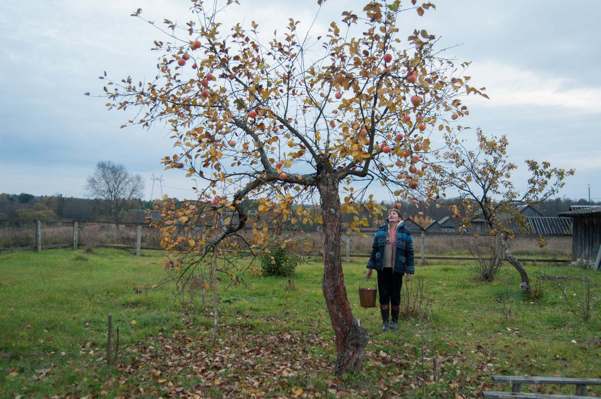 Нить Паулино. Фотограф Юлия Близнецова