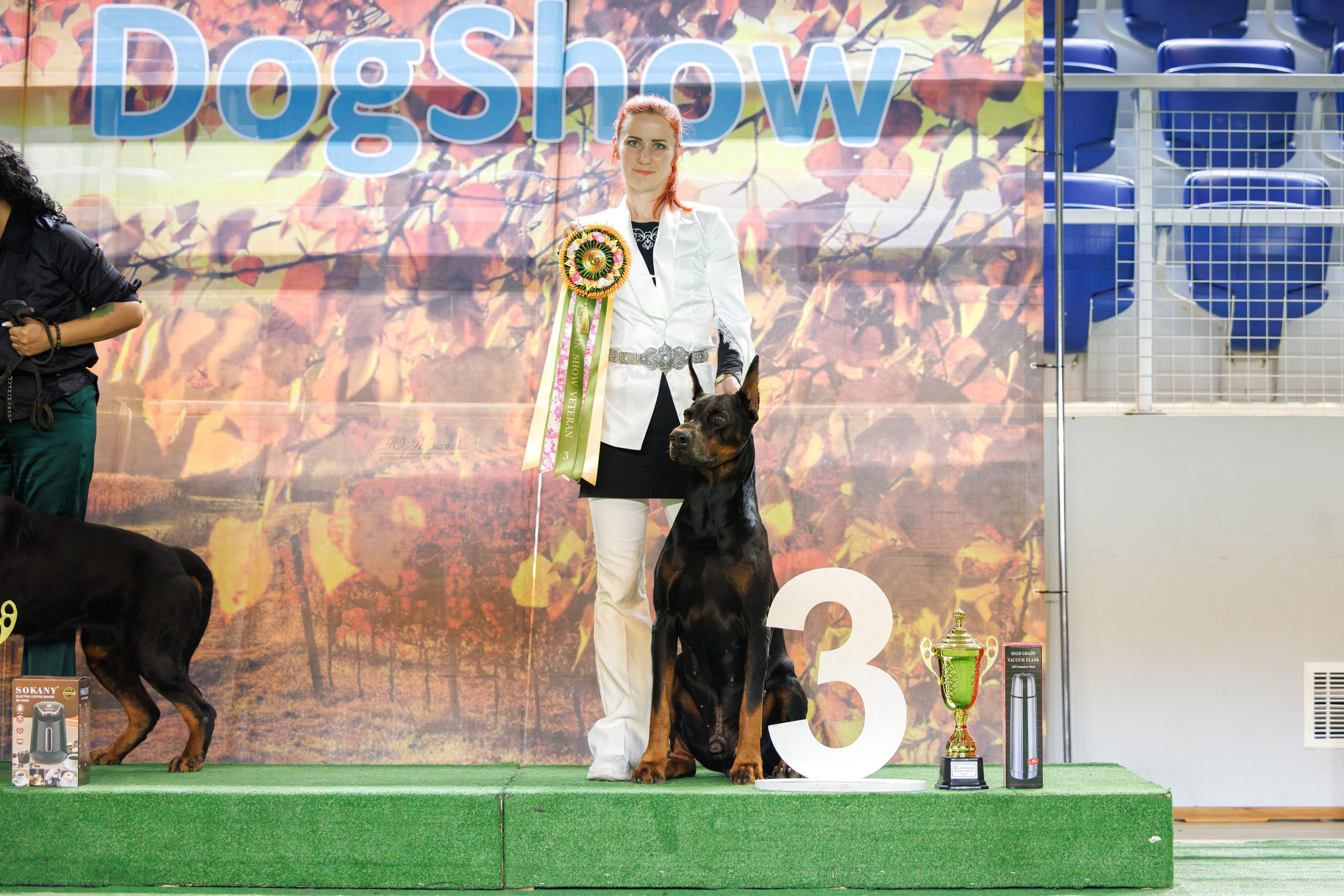 Грузия,Телави 2хCACIB 19-20.10.2024. Фотограф-анималист Юлия Германика