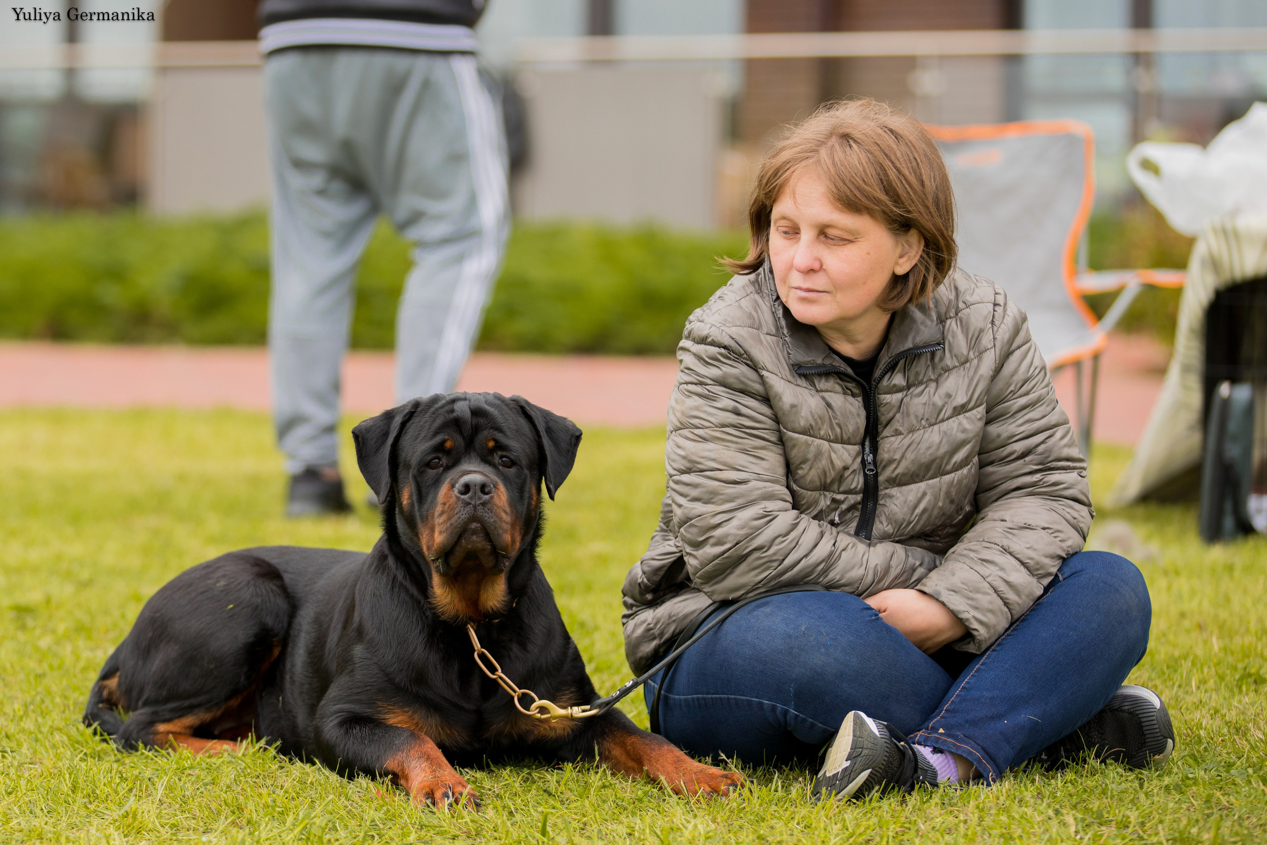 Переславль 9-10.09.2023. Фотограф-анималист Юлия Германика
