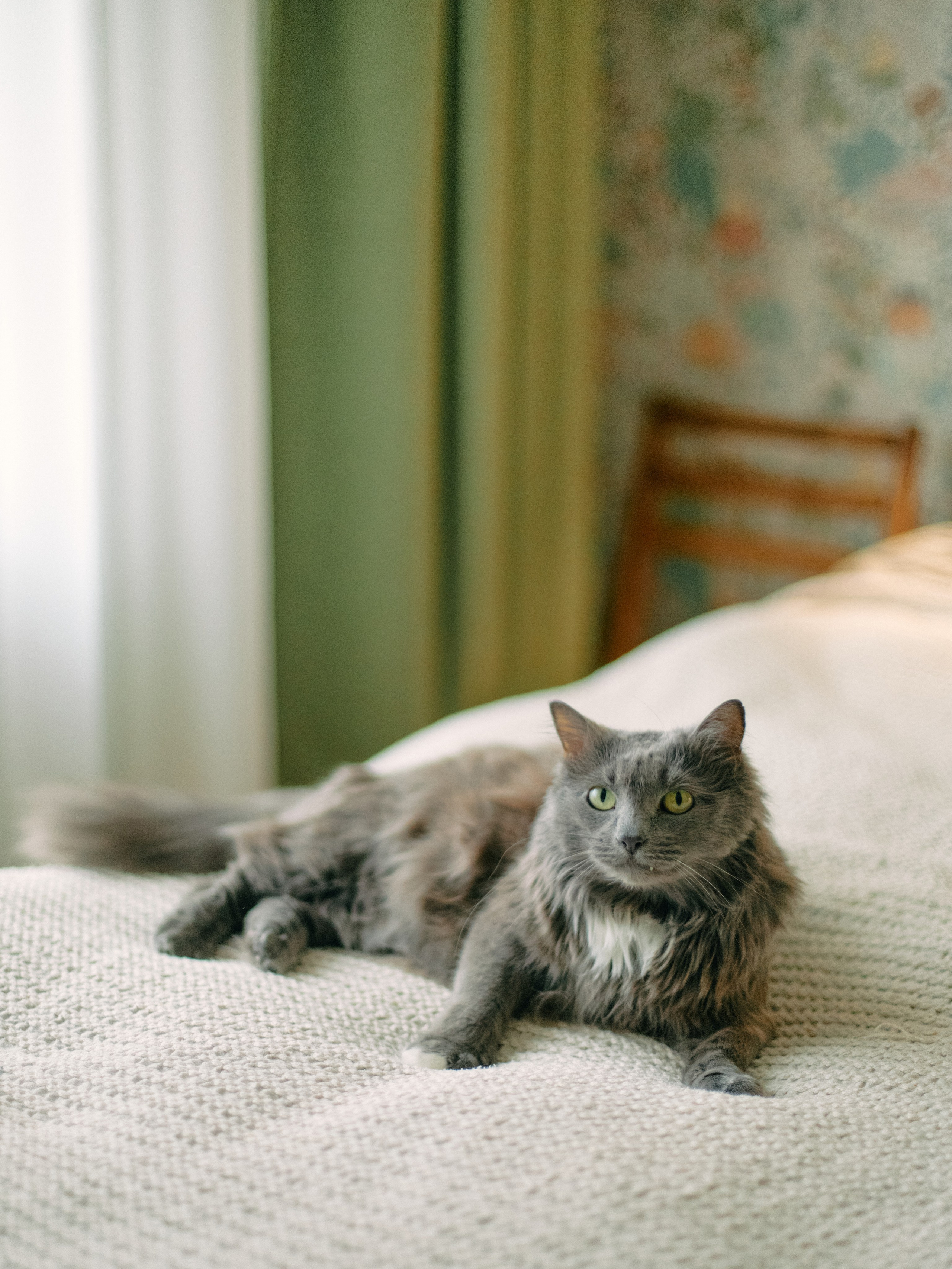 Аленка. Профессиональный Фотограф во Владимире, в Москве и в Суздале — Полина Романычева