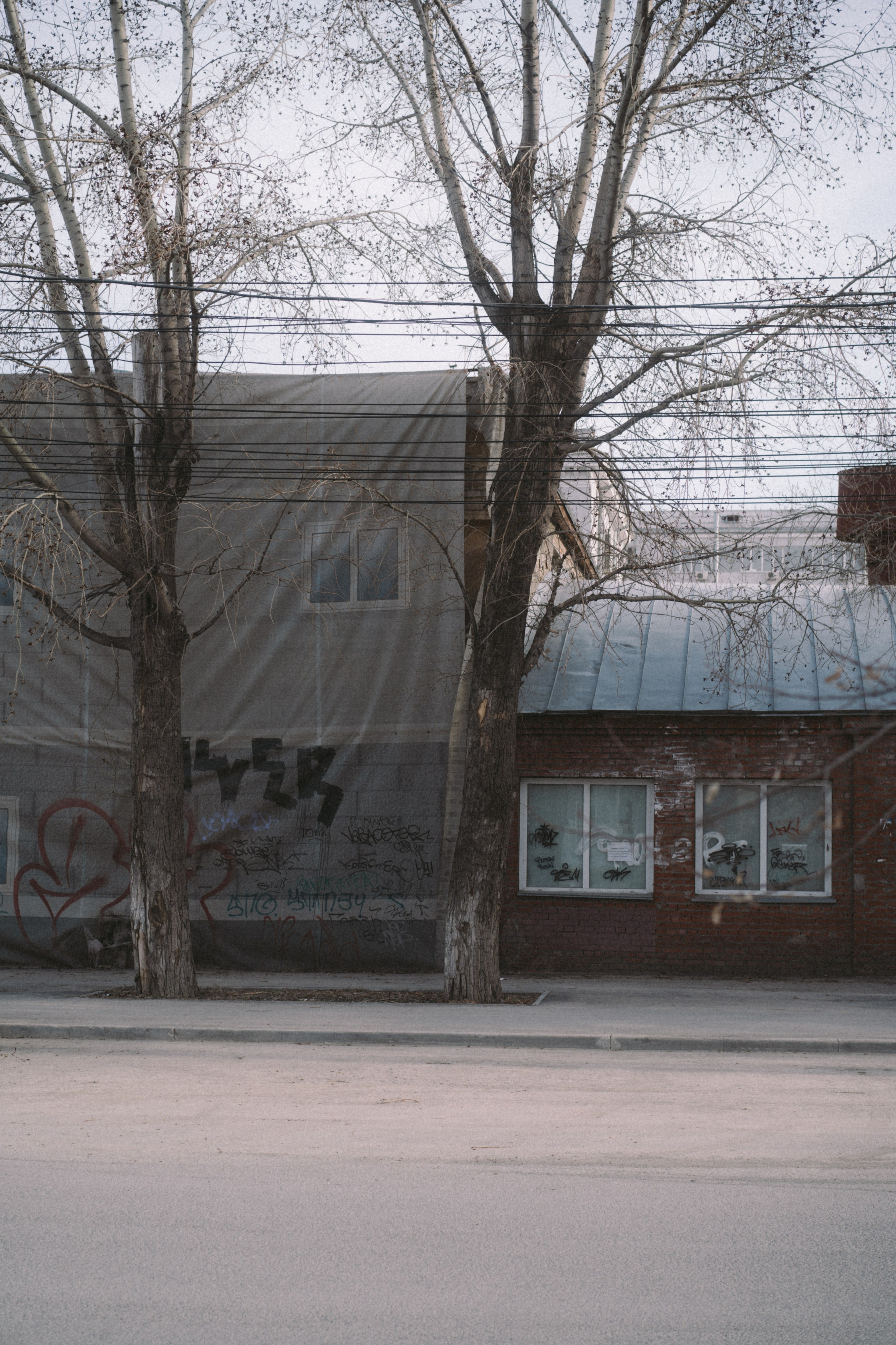 Новосибирск. Veronika Popadeikina Photographer