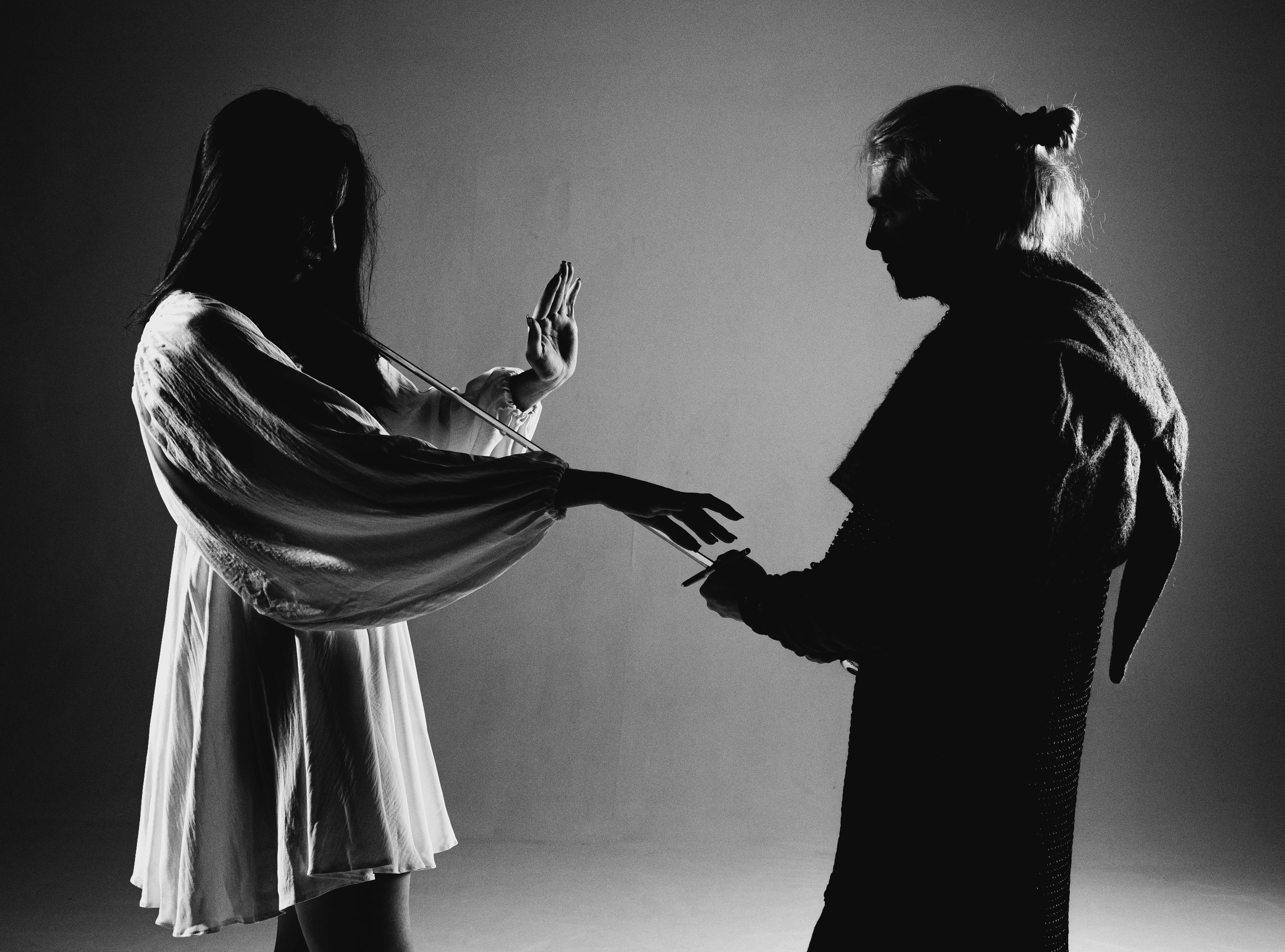 Ведьмак и брукса. Ab extra