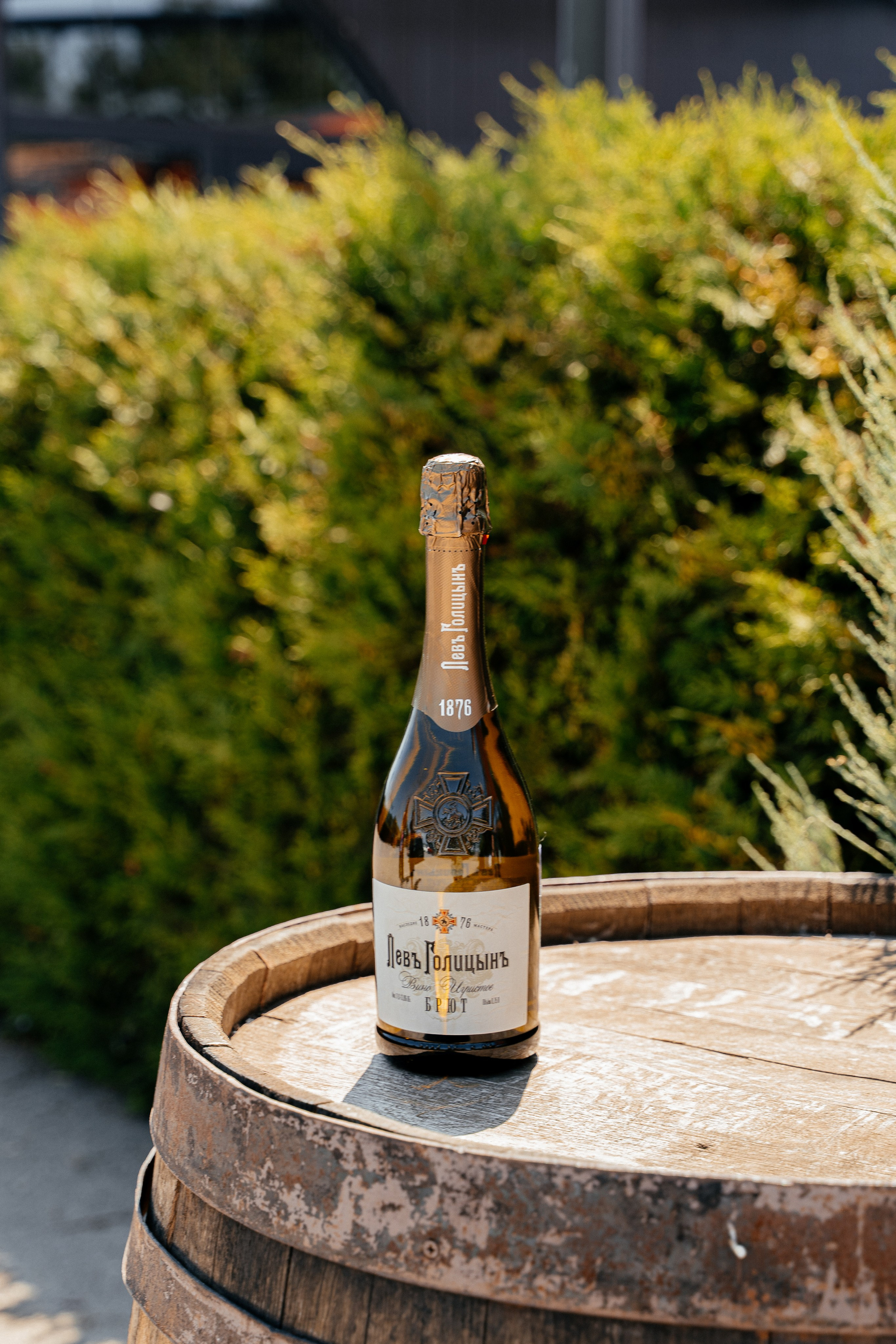 Девичник. Анастасия Дунаева. Фотограф в Севастополе