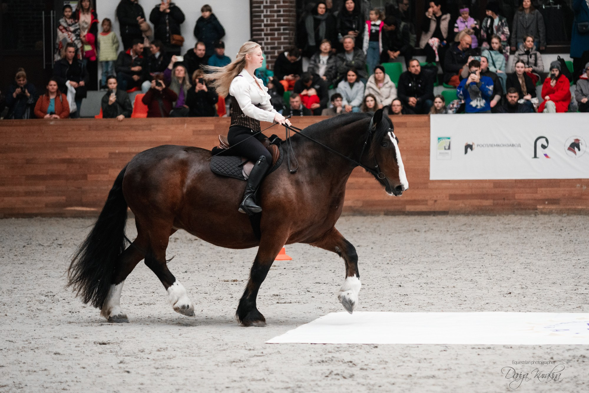 8-я международная выставка Конная Россия. Конный фотограф Куракина Дарья • Фотосессии с лошадьми